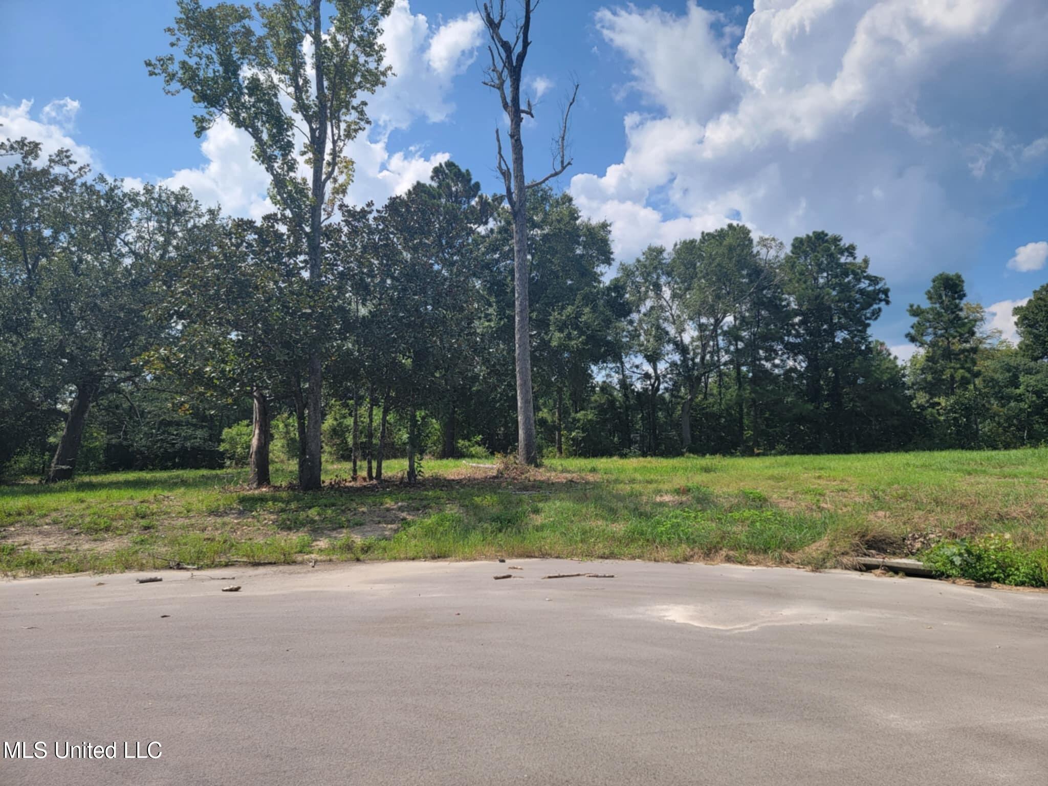 10550 Oneal Road Property Photo 16
