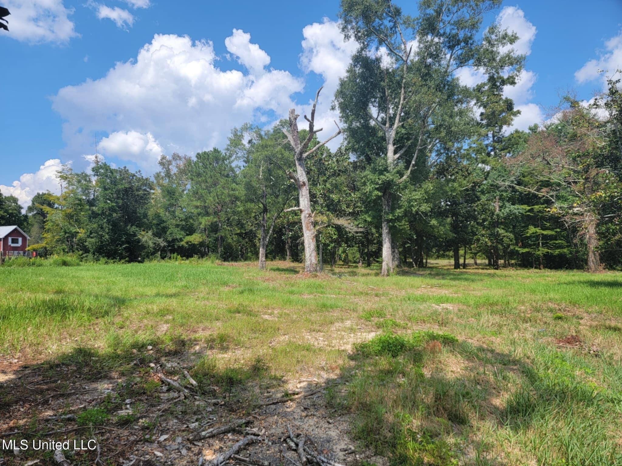 10550 Oneal Road Property Photo 4