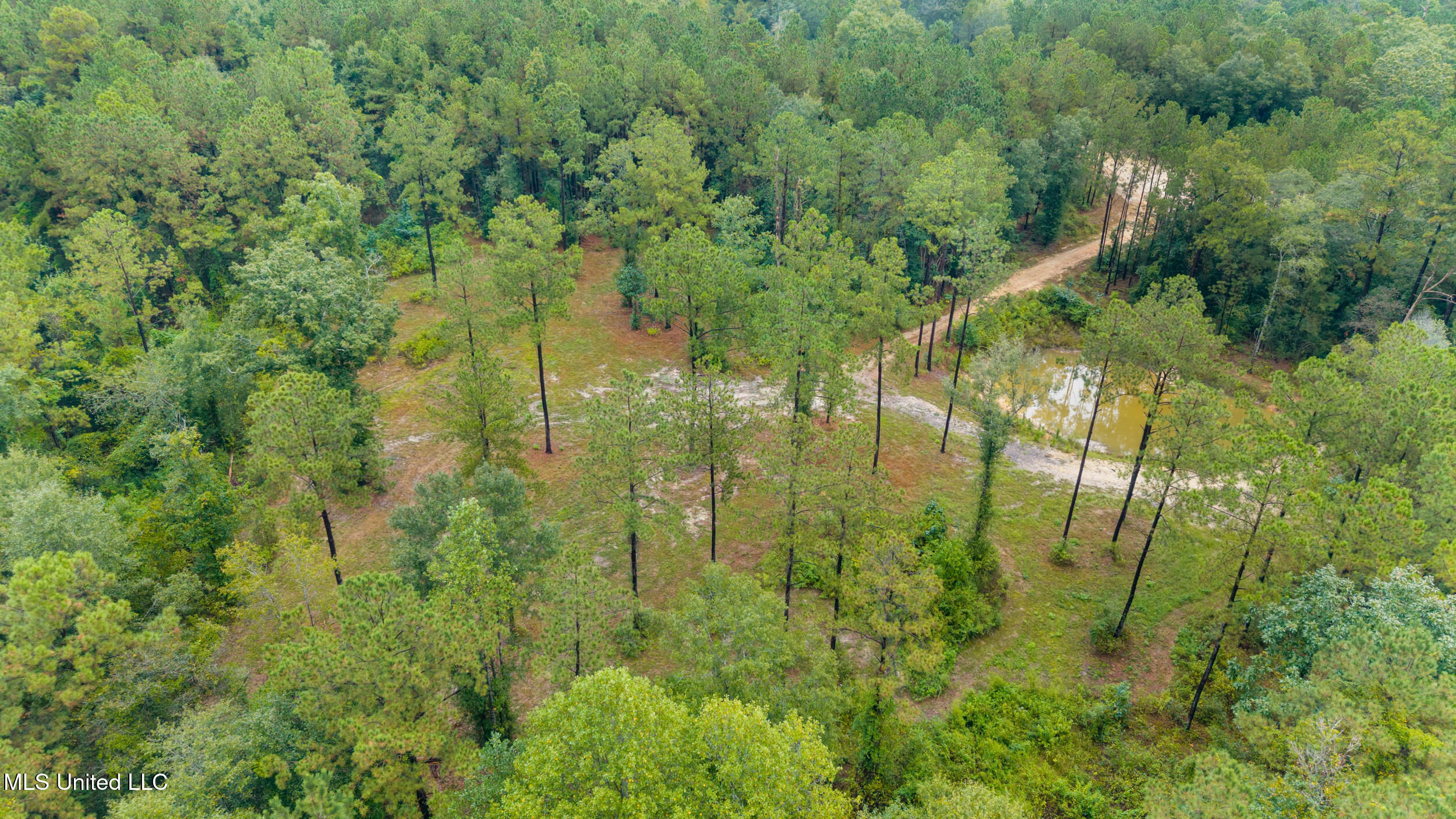 Ms-26 Property Photo 14