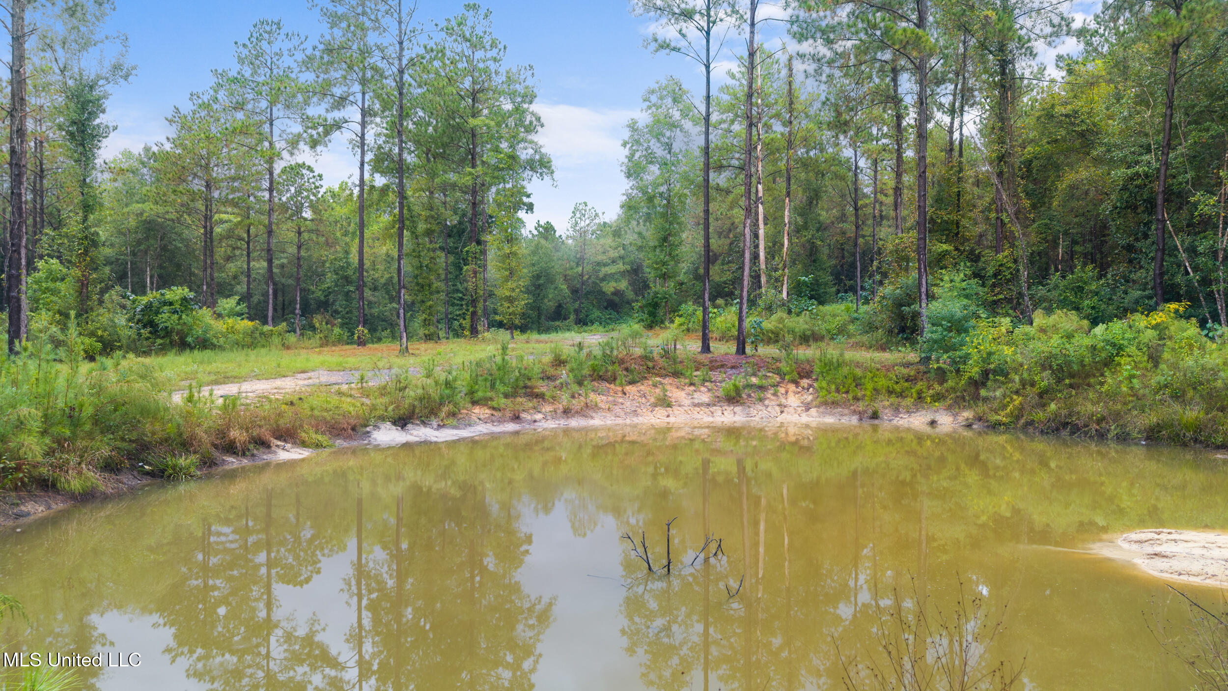 Ms-26 Property Photo 19
