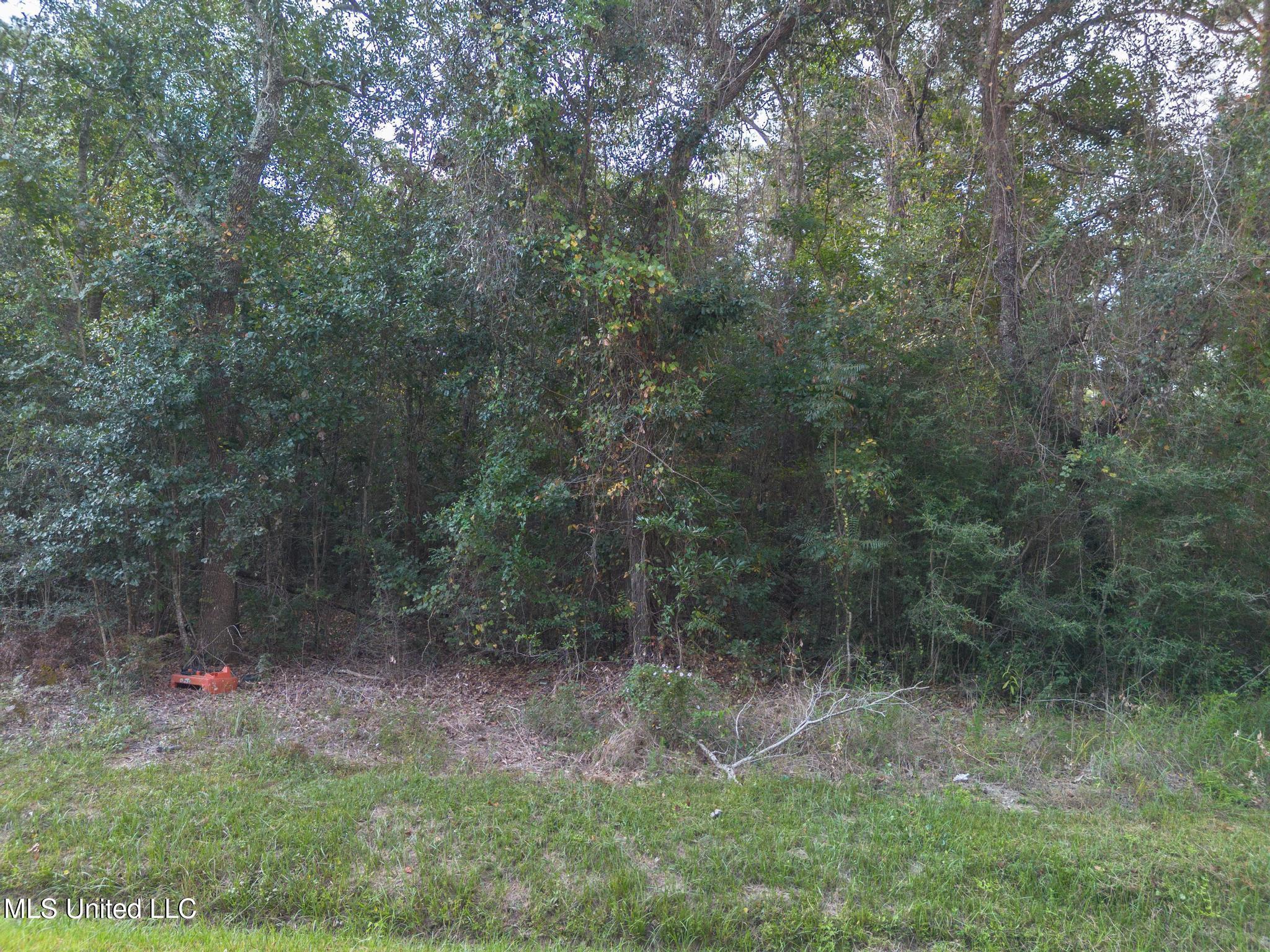 Gulf Street Property Photo 2