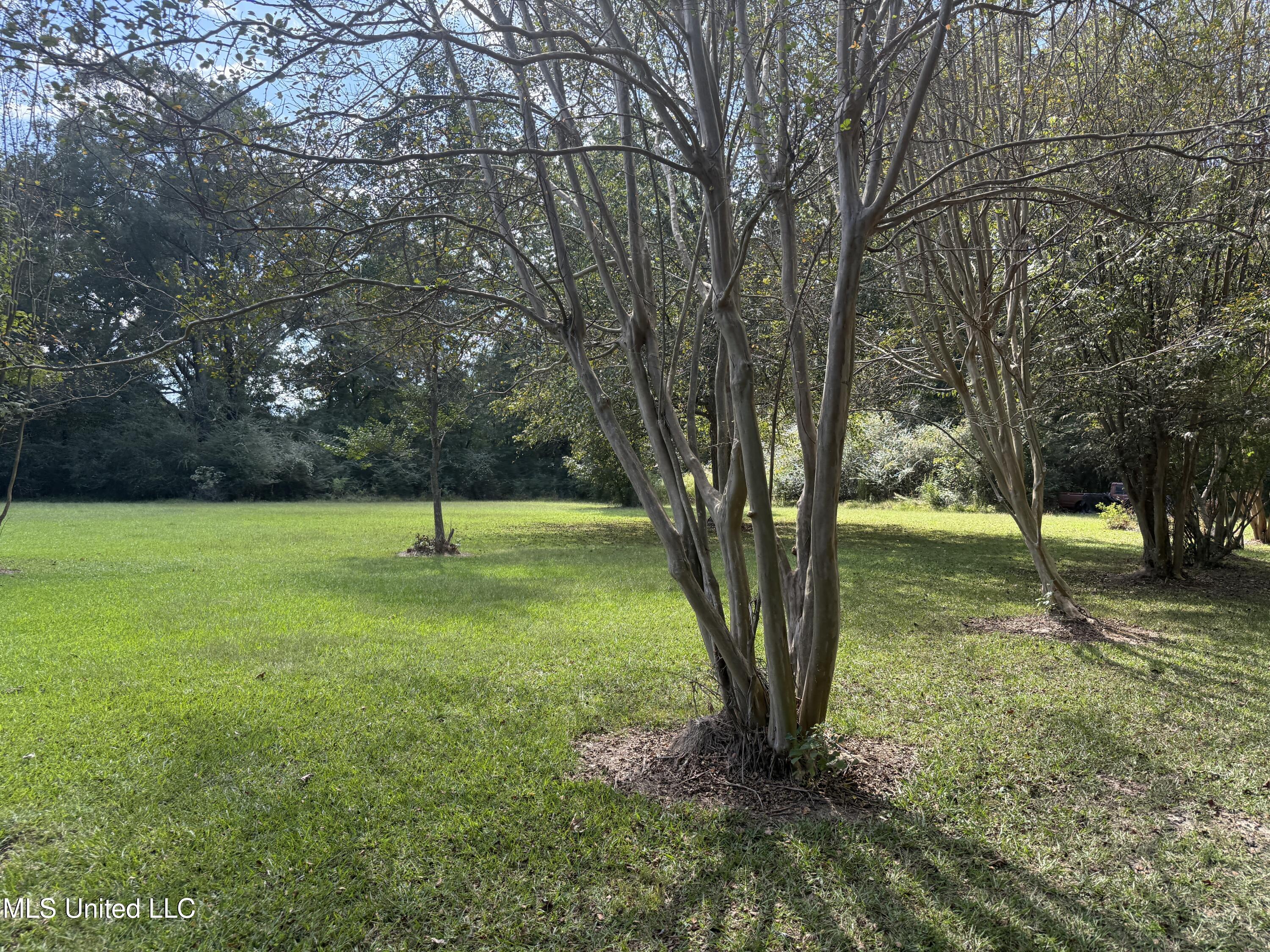 157 Quail Hollow Property Photo 4