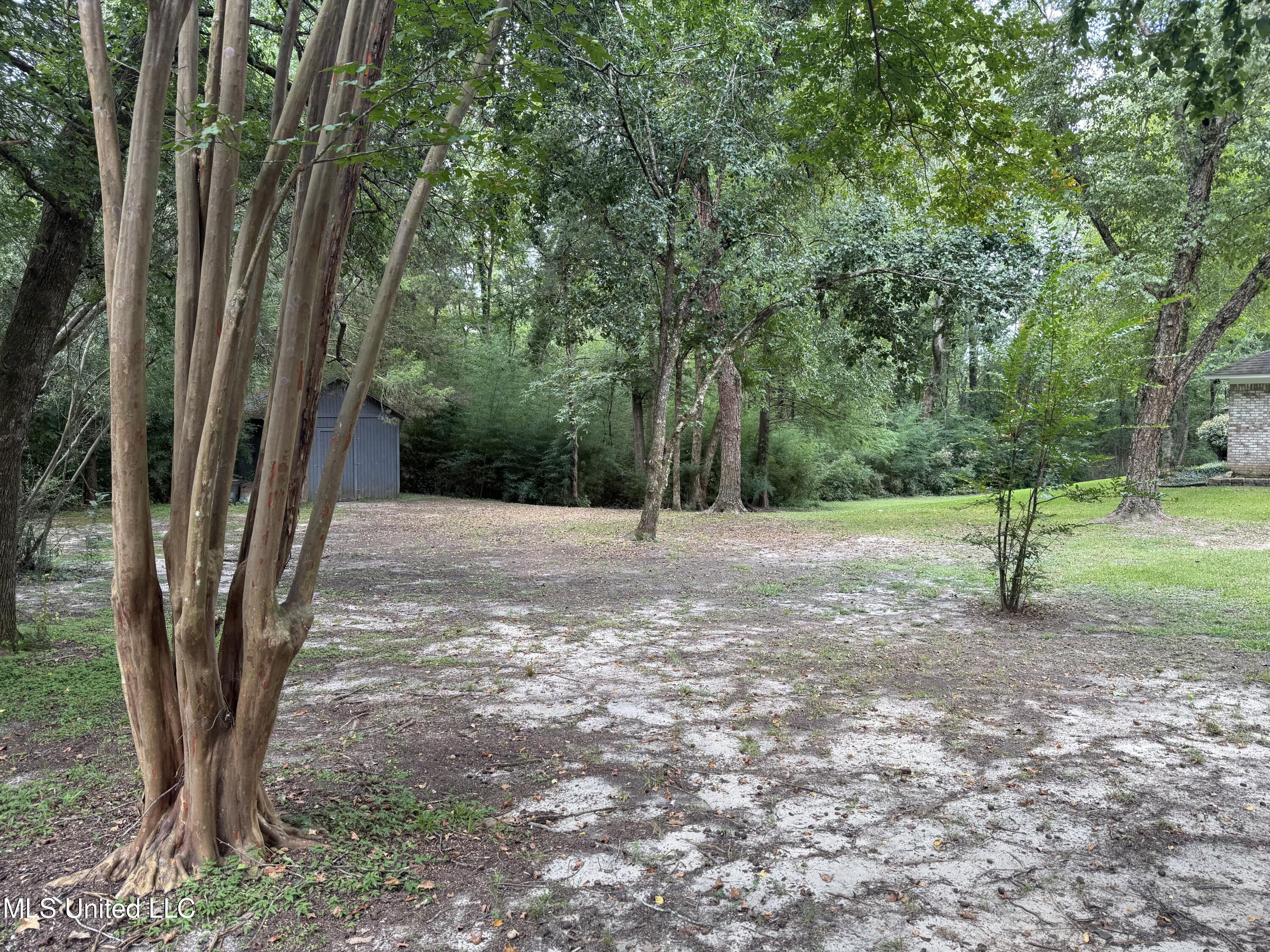 109 Falcon Ridge Drive Property Photo 19