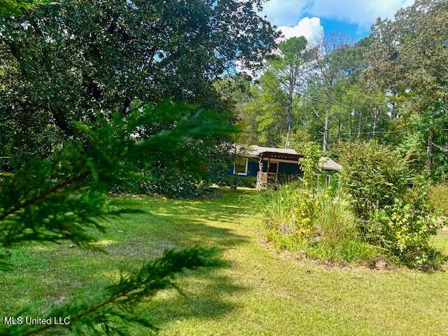 6329 Hwy 43 South Property Photo 2