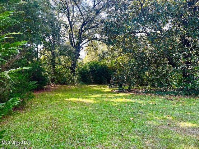 6329 Hwy 43 South Property Photo 3