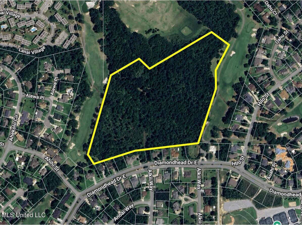 0 Diamondhead Drive Property Photo 1