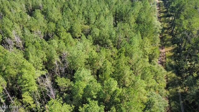 5464a Pecan Orchard Road Property Photo 3