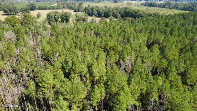 5464a Pecan Orchard Road Property Photo 11