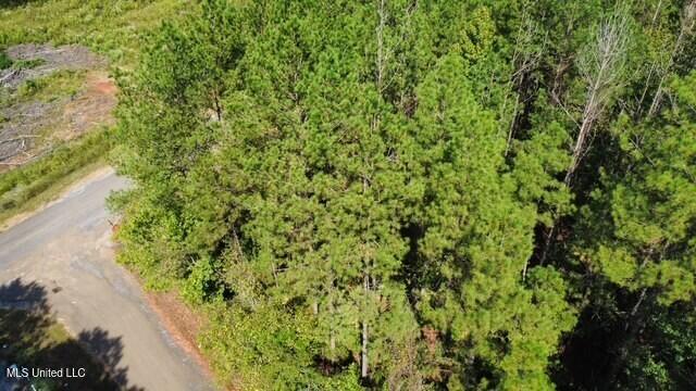 5464a Pecan Orchard Road Property Photo 12