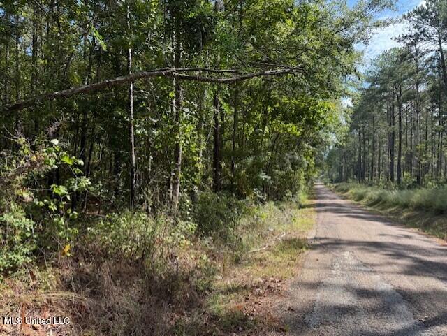 5464a Pecan Orchard Road Property Photo 13