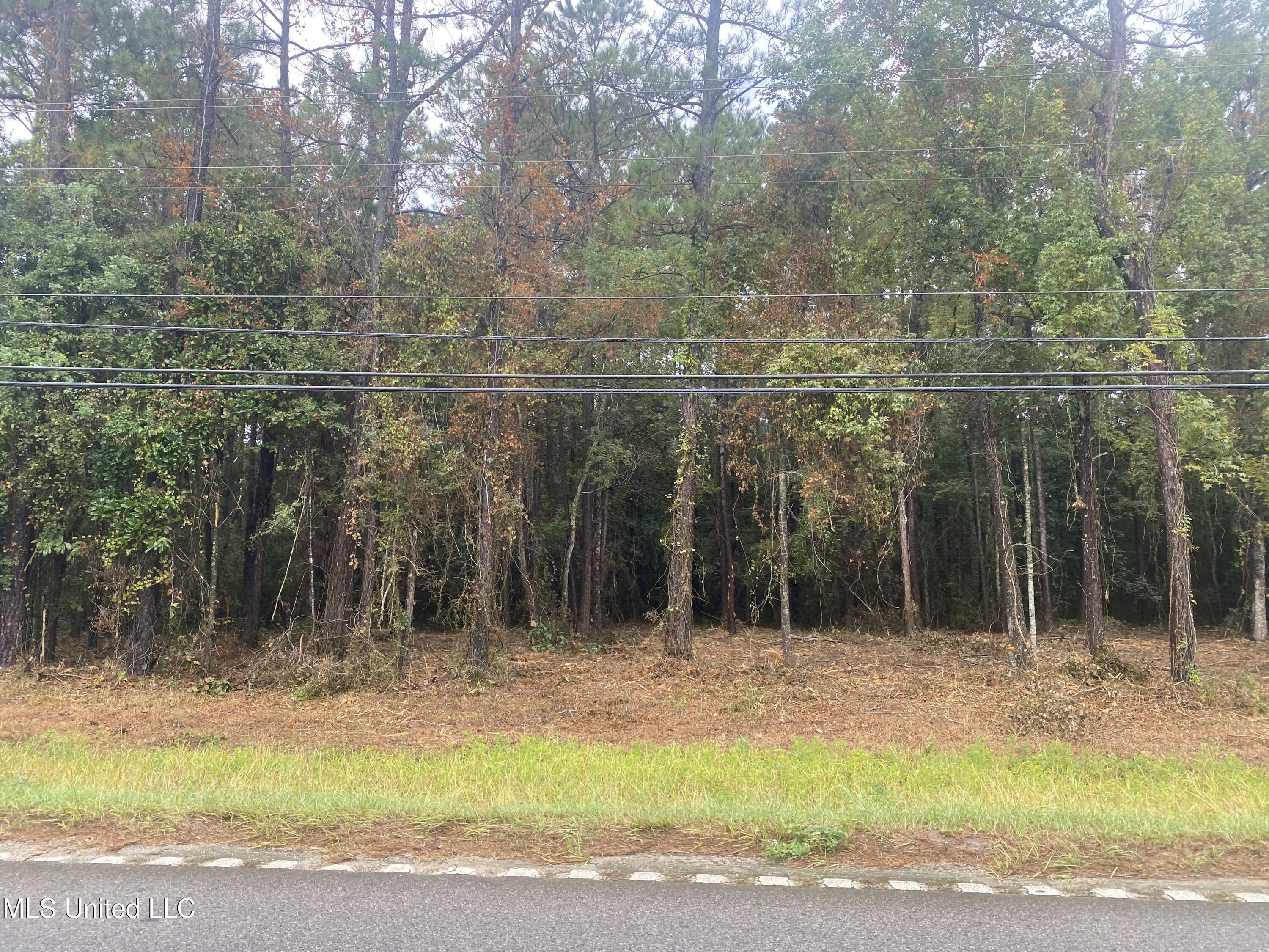 Hwy 613 Property Photo 8