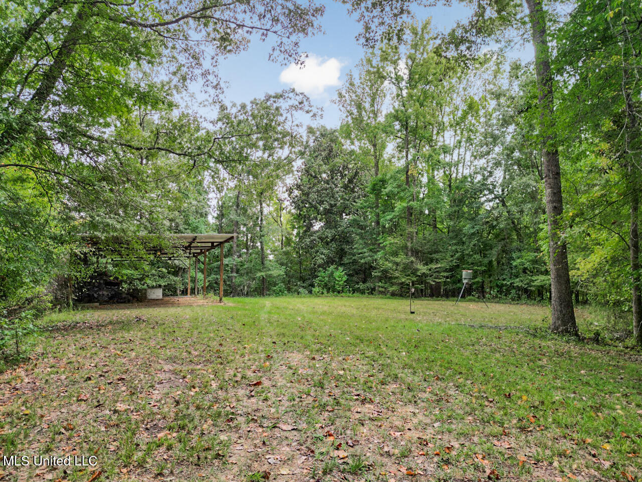 52 Ogden Road Property Photo 32