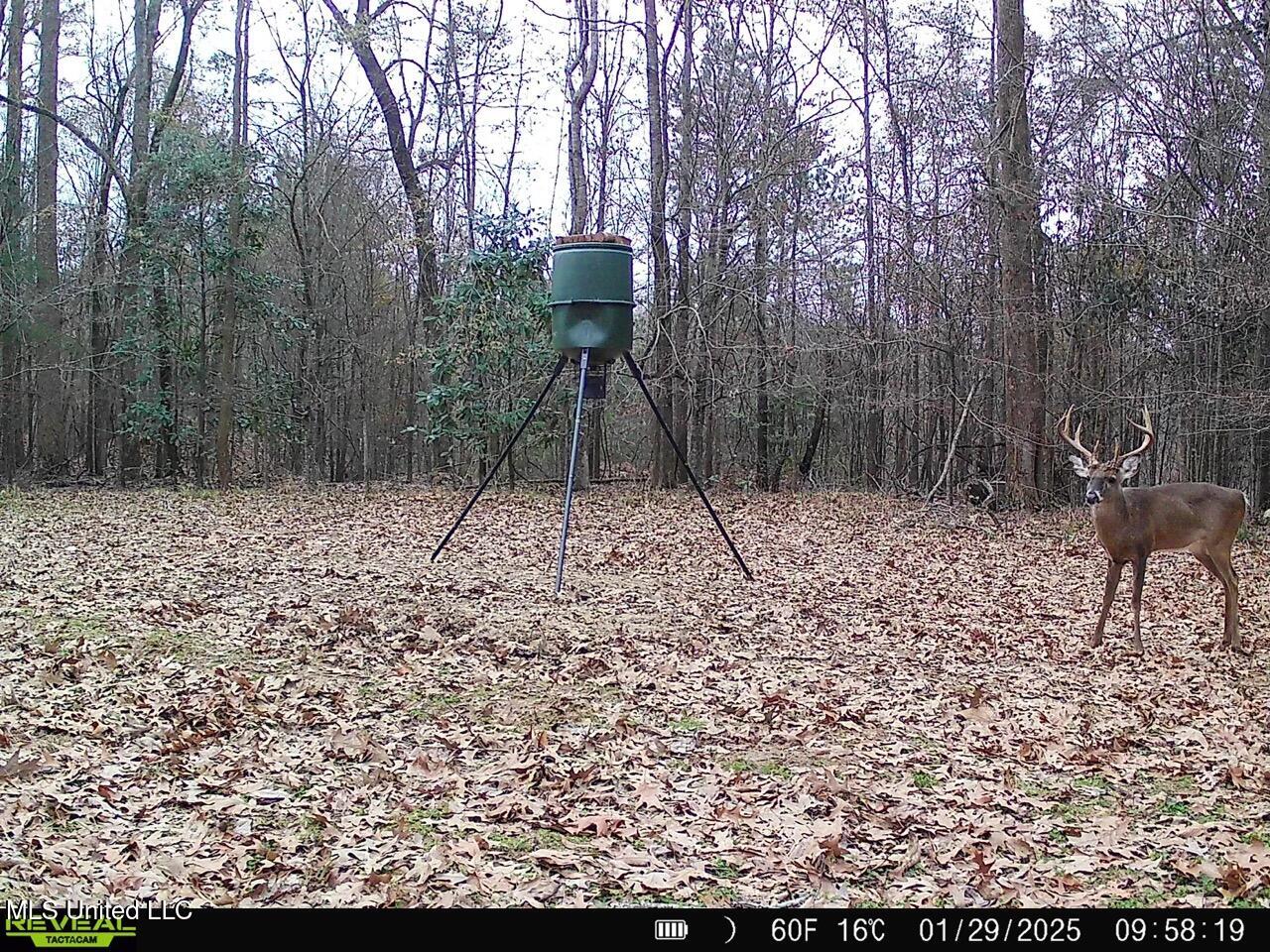 52 Ogden Road Property Photo 52