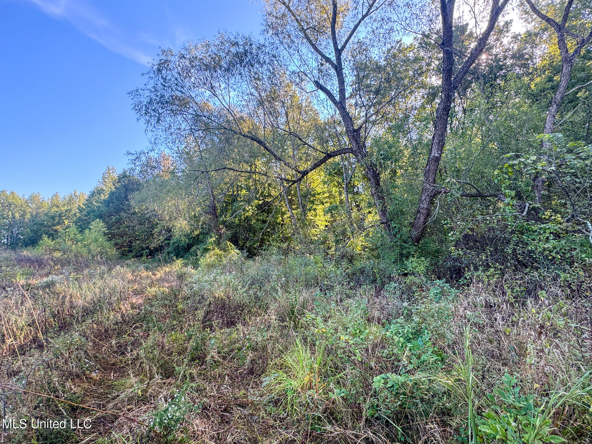E Commerce Street Property Photo 50