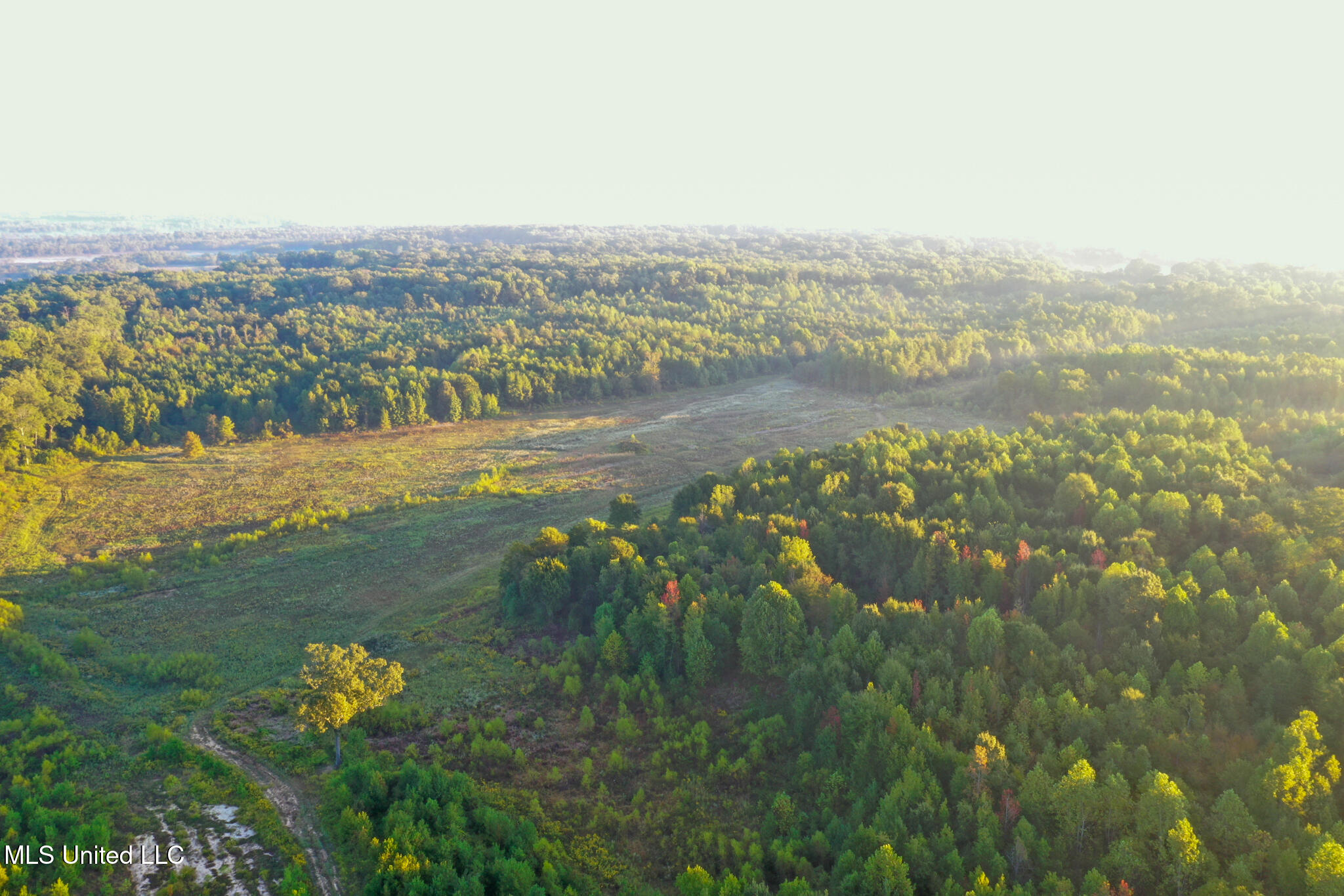 Davis Lane Property Photo 6