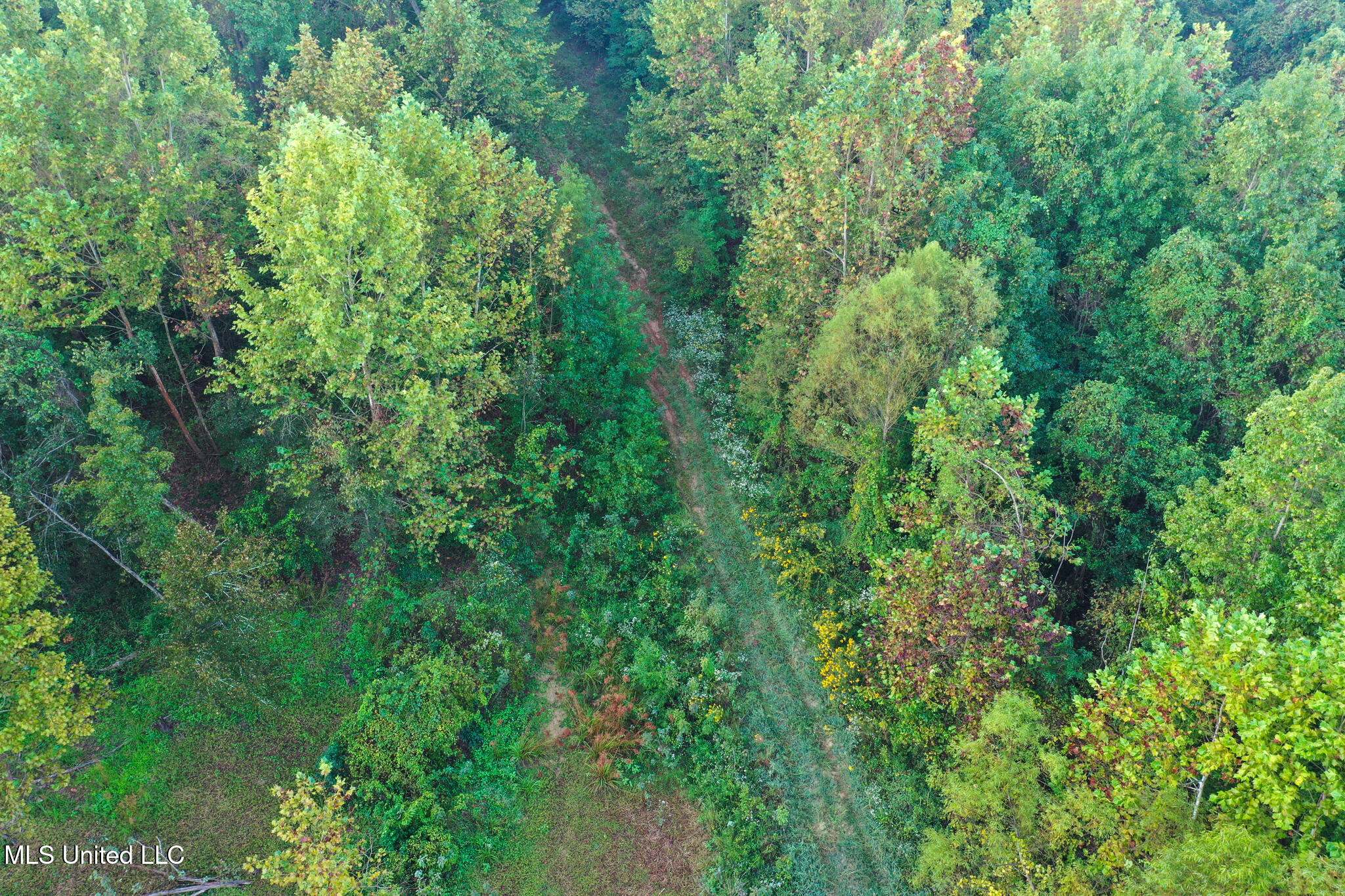 Davis Lane Property Photo 8