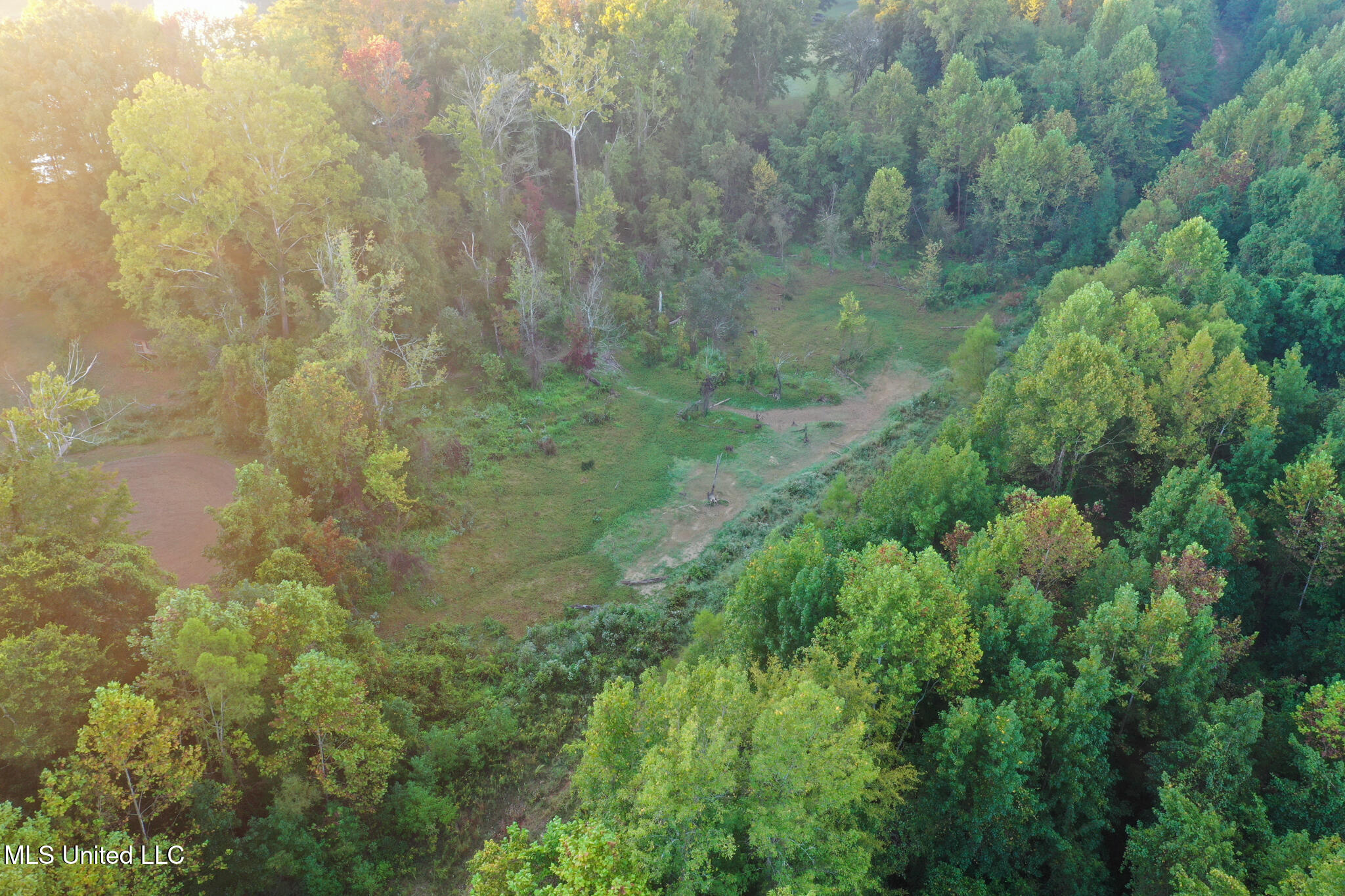 Davis Lane Property Photo 9