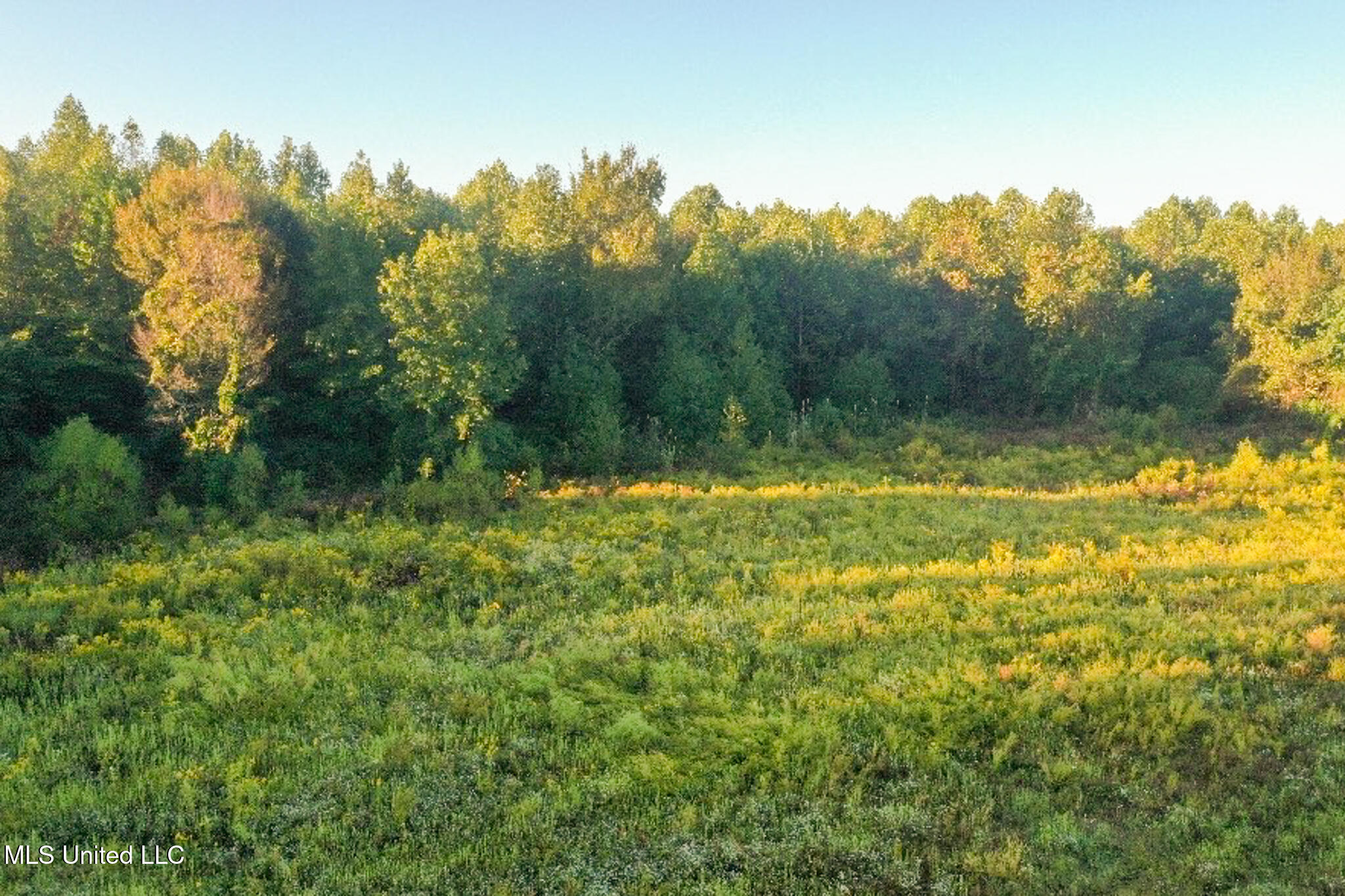 Davis Lane Property Photo 10