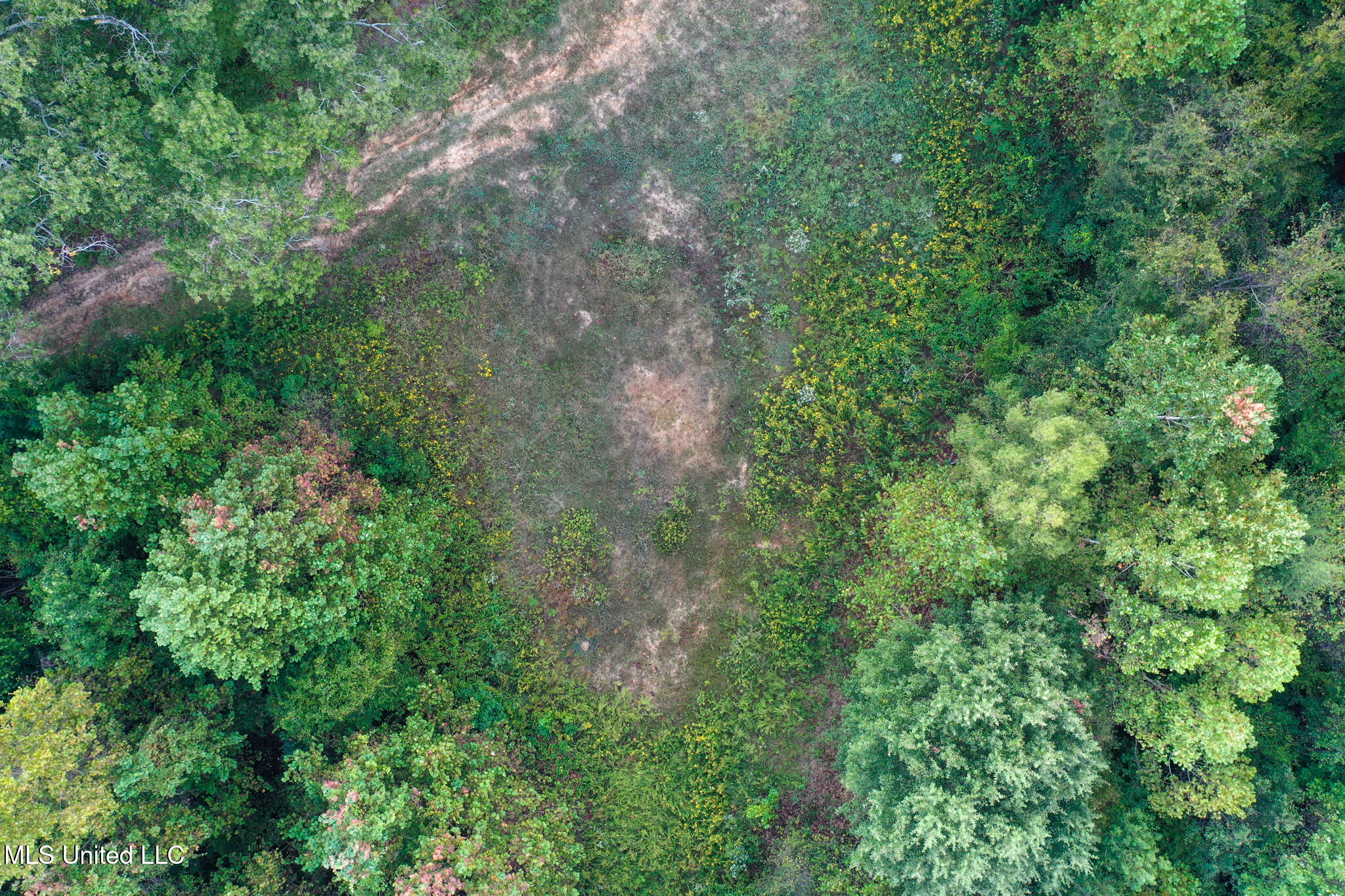 Davis Lane Property Photo 16