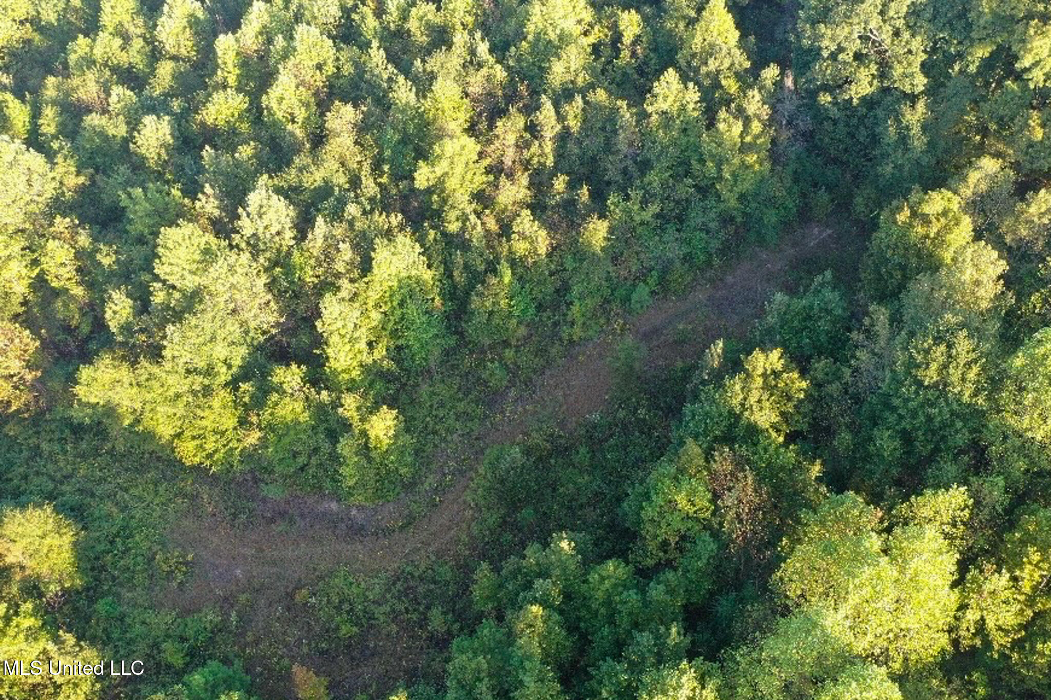 Davis Lane Property Photo 17