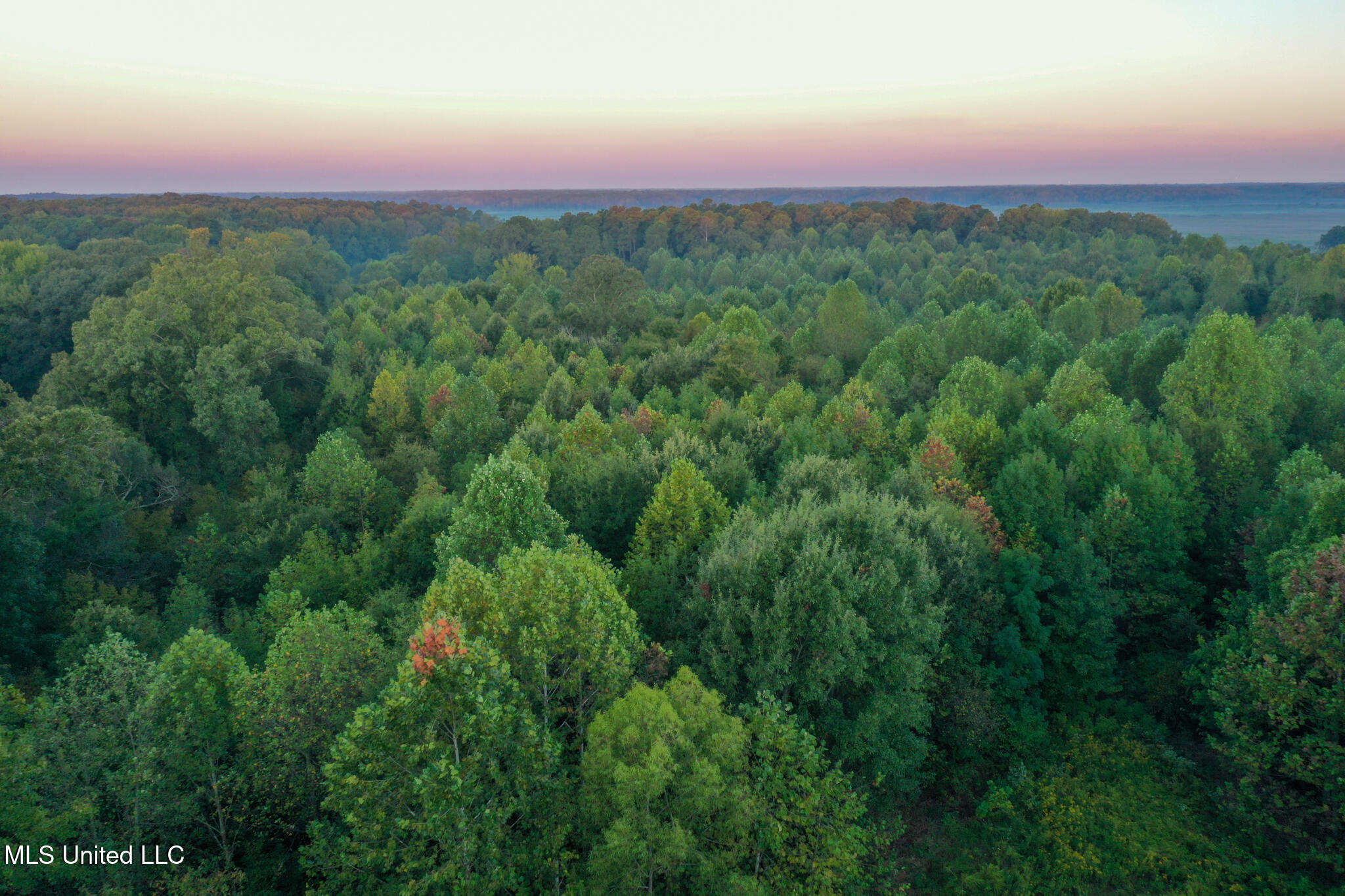 Davis Lane Property Photo 18