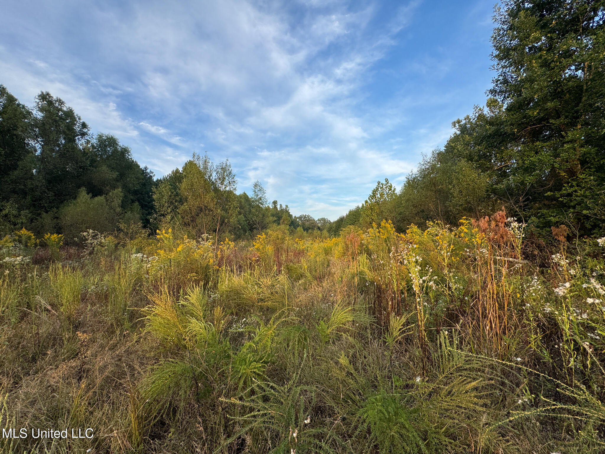 Davis Lane Property Photo 19