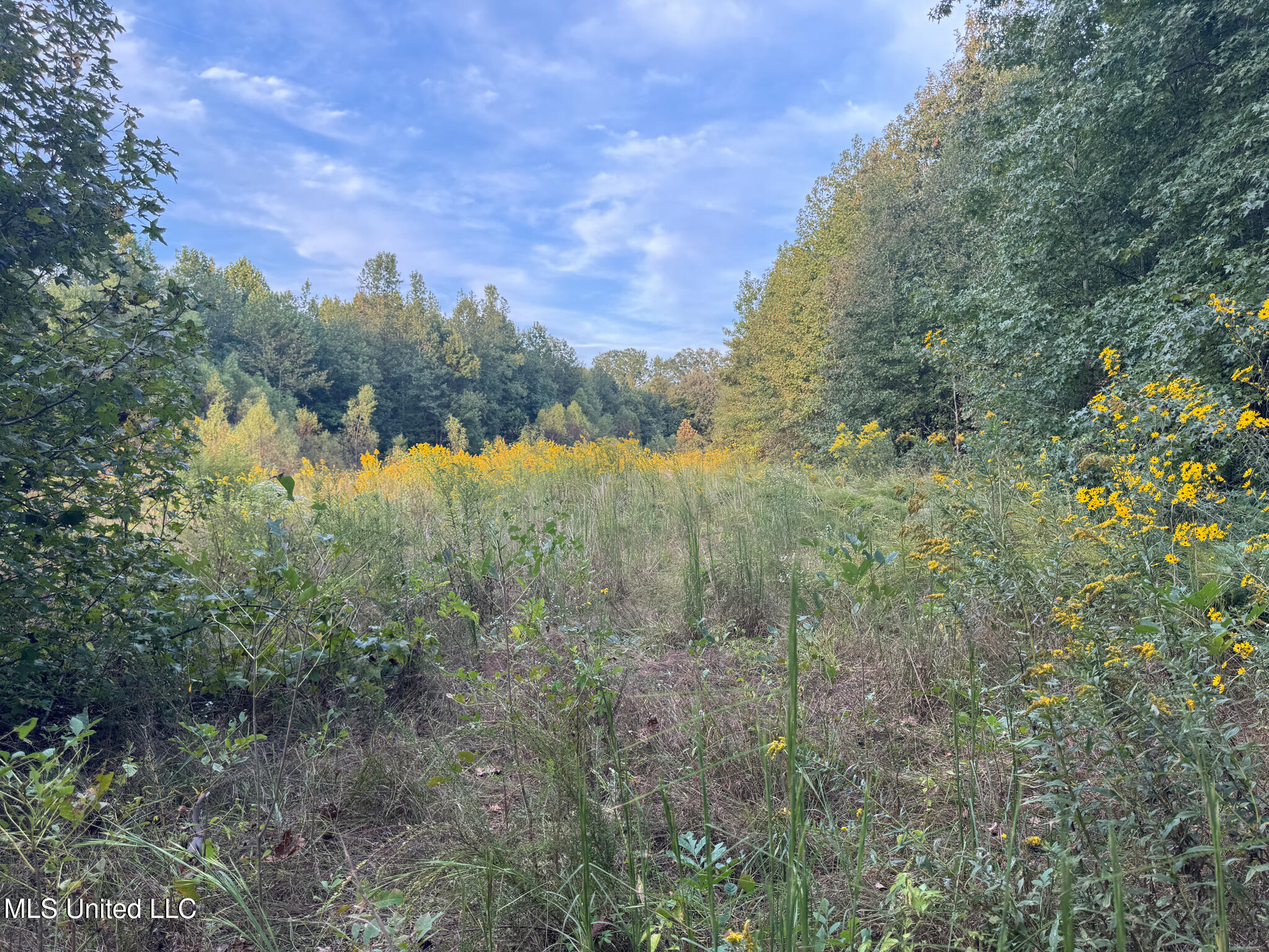 Davis Lane Property Photo 20