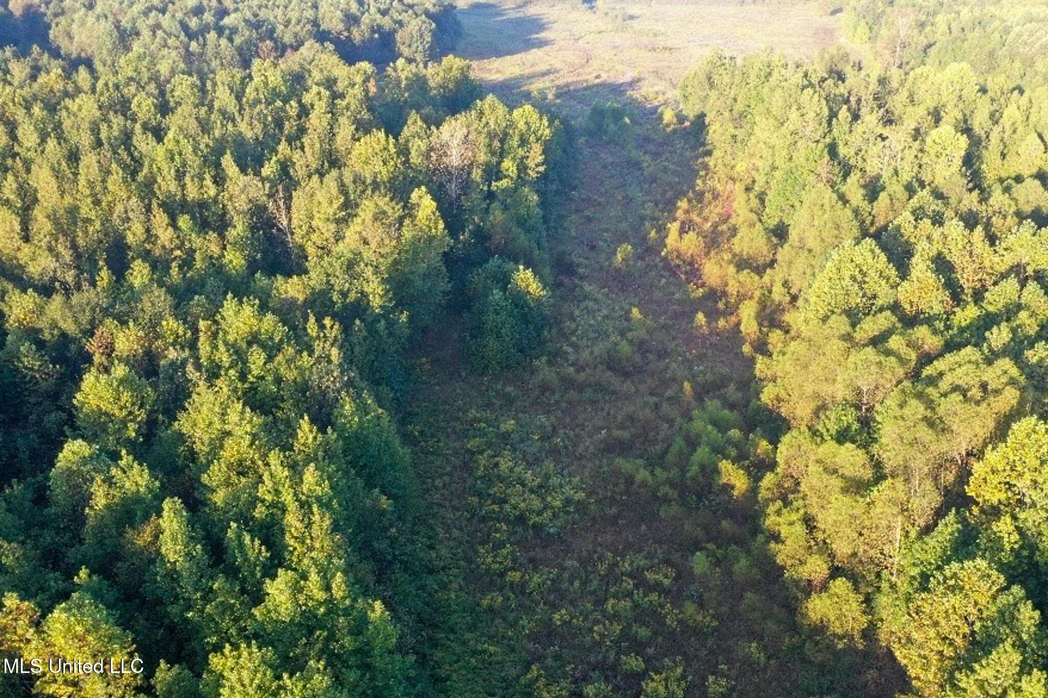 Davis Lane Property Photo 21