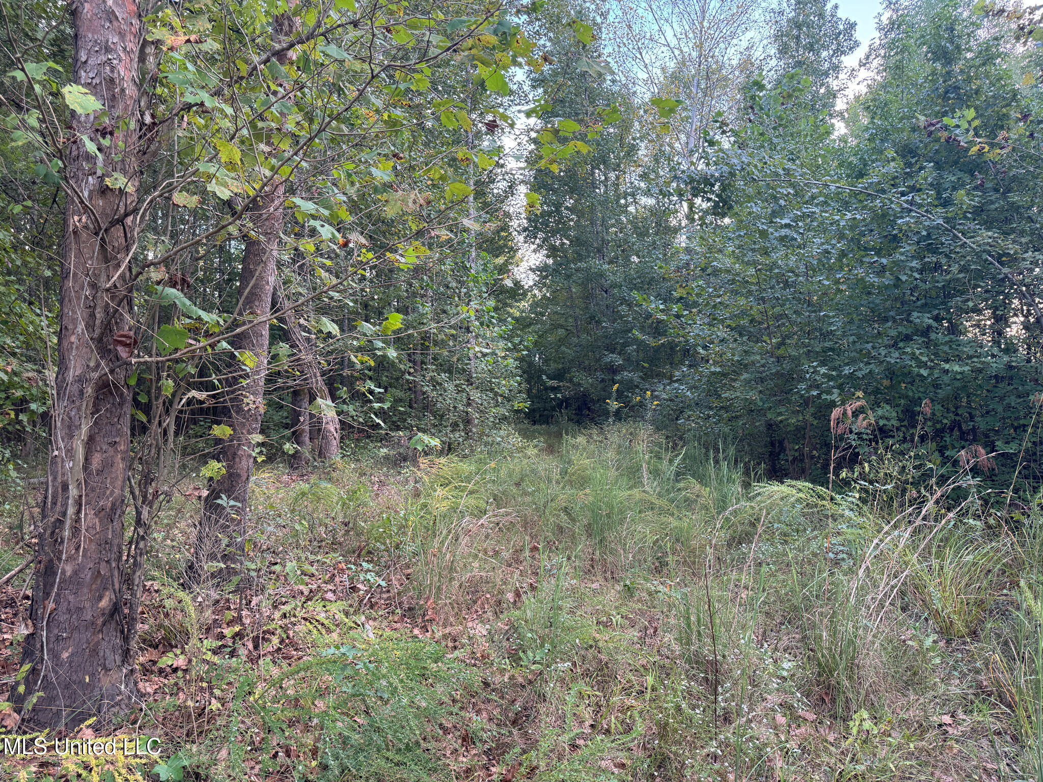 Davis Lane Property Photo 22