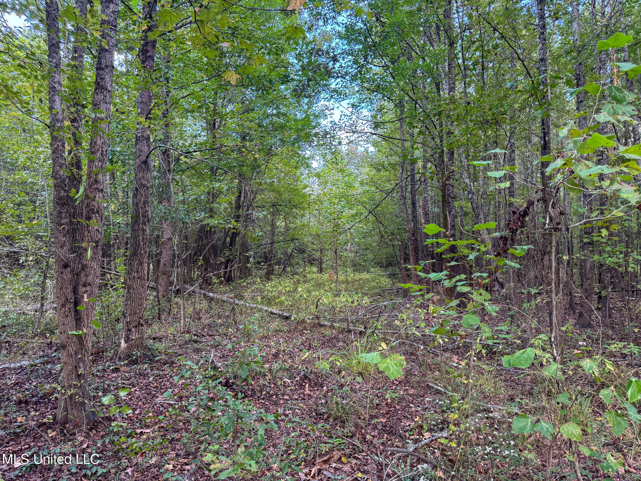 Davis Lane Property Photo 23