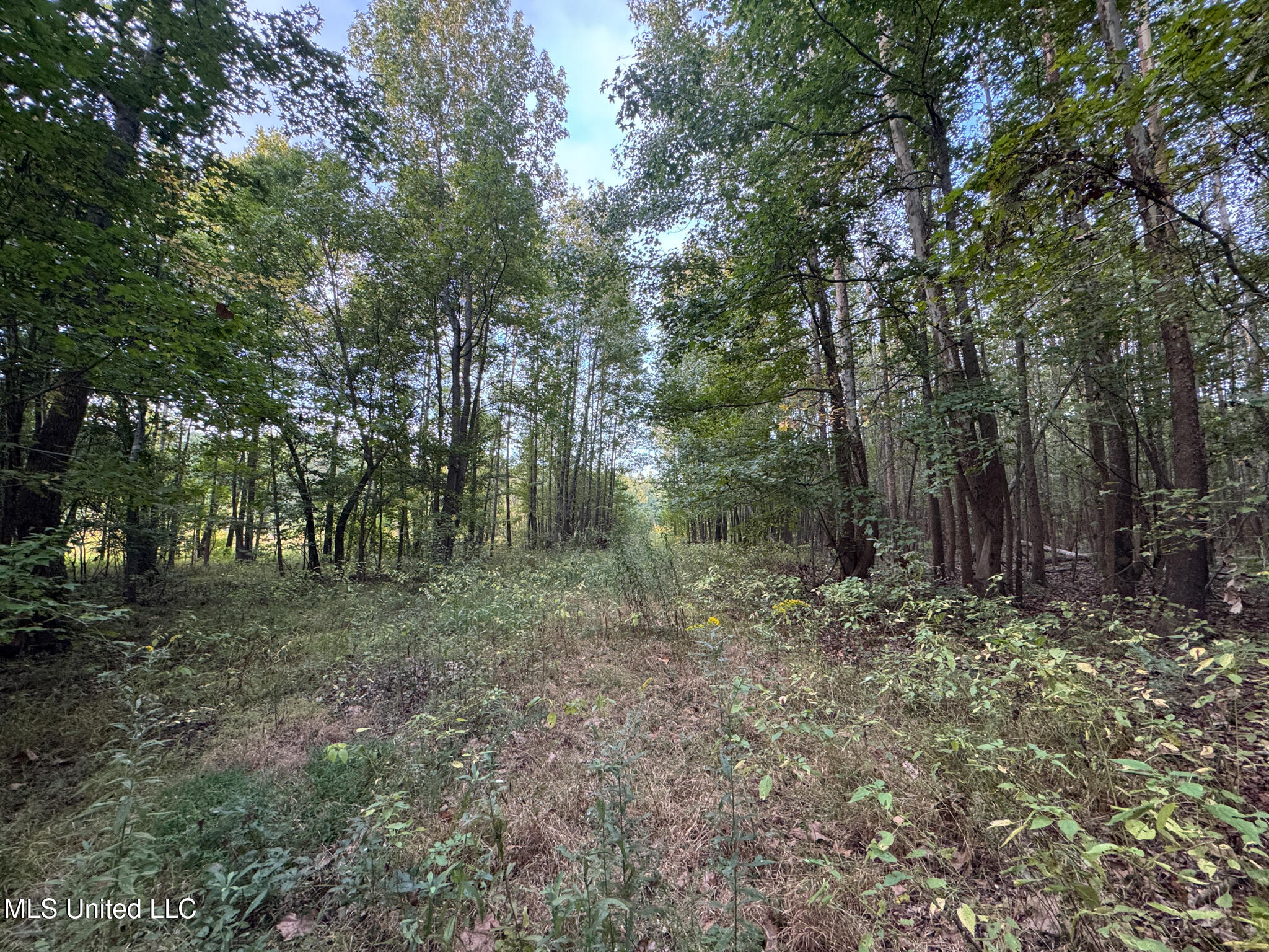 Davis Lane Property Photo 24