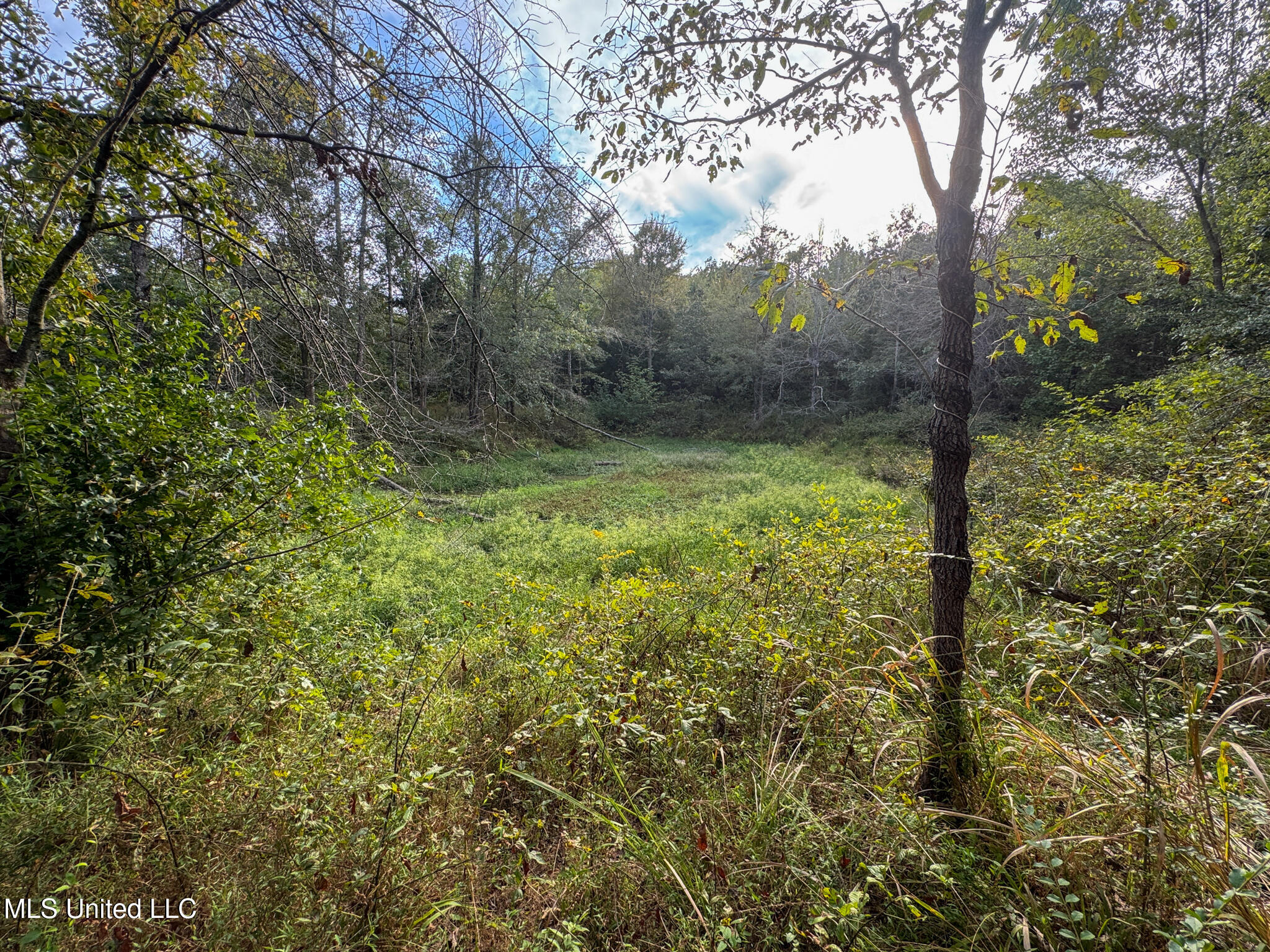 Davis Lane Property Photo 28