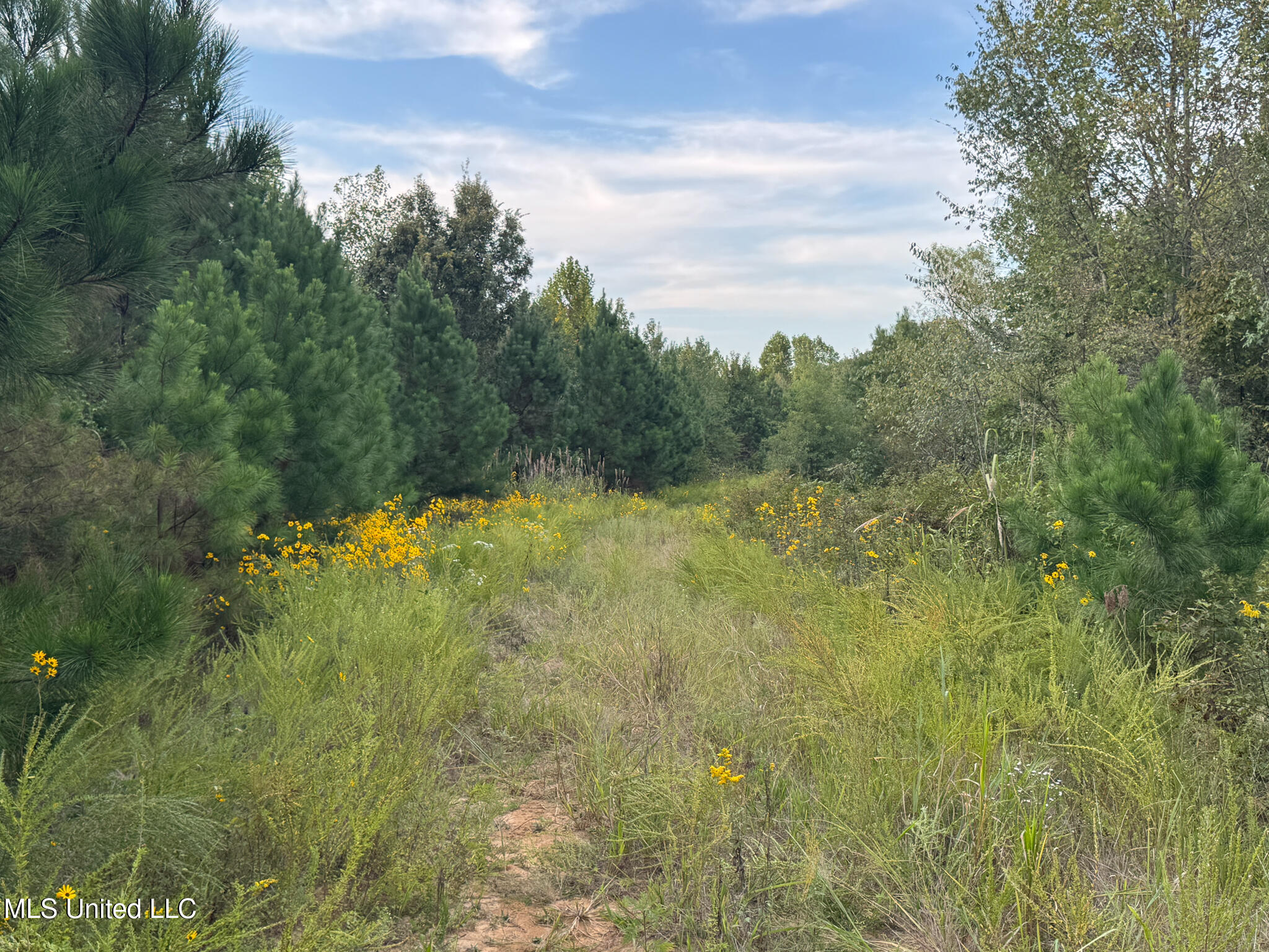 Davis Lane Property Photo 29