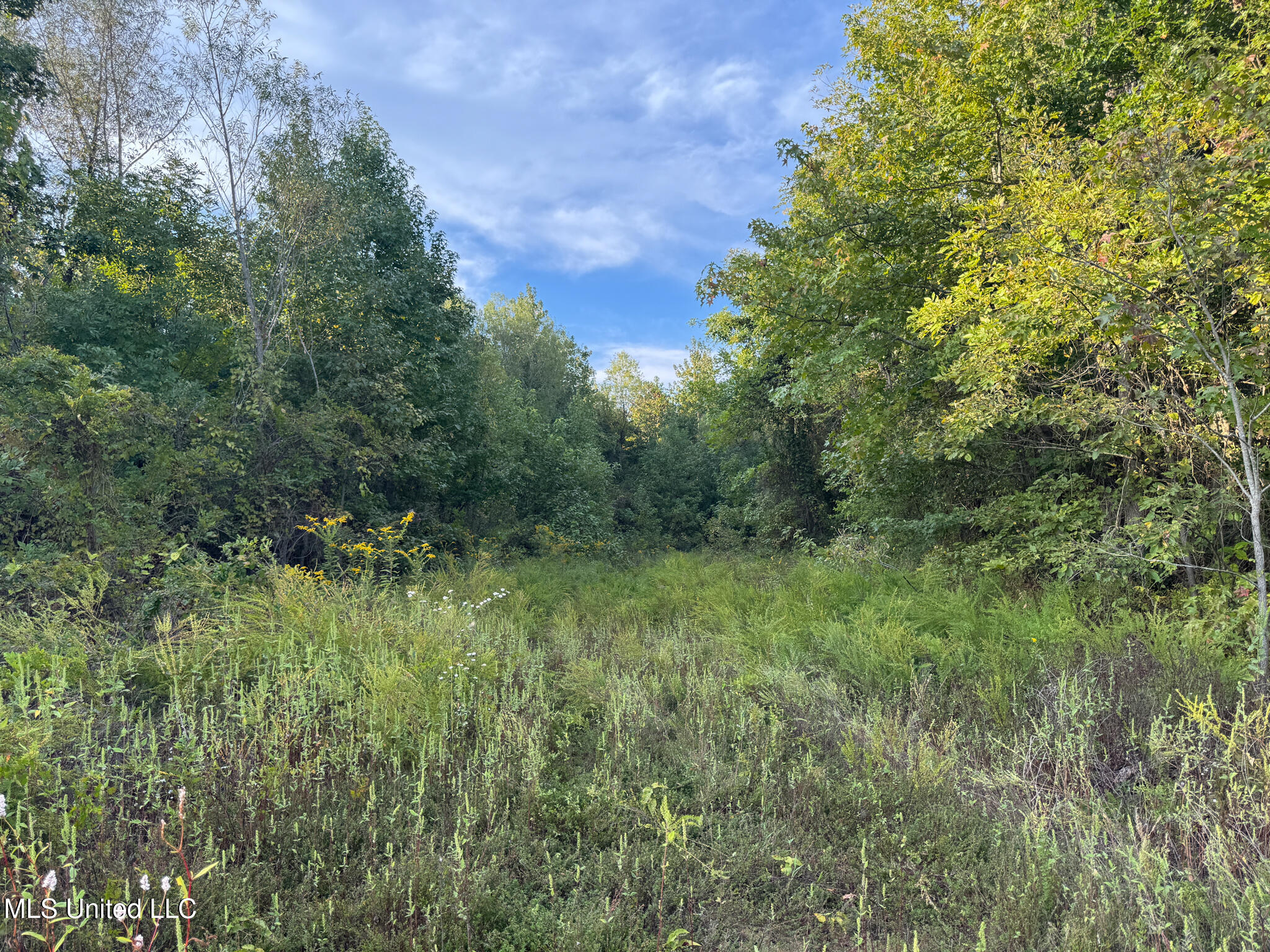 Davis Lane Property Photo 32