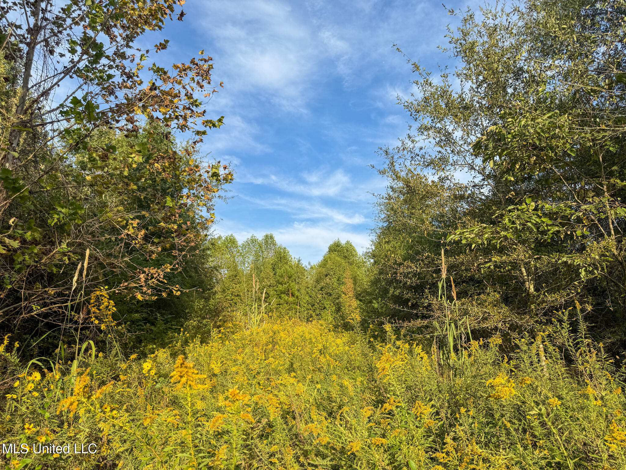 Davis Lane Property Photo 33