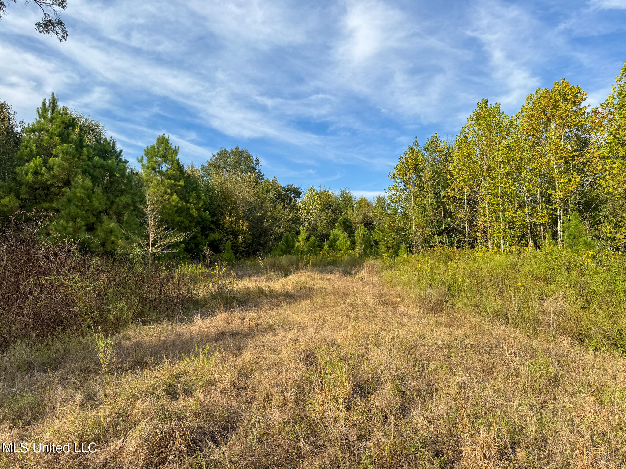 Davis Lane Property Photo 34