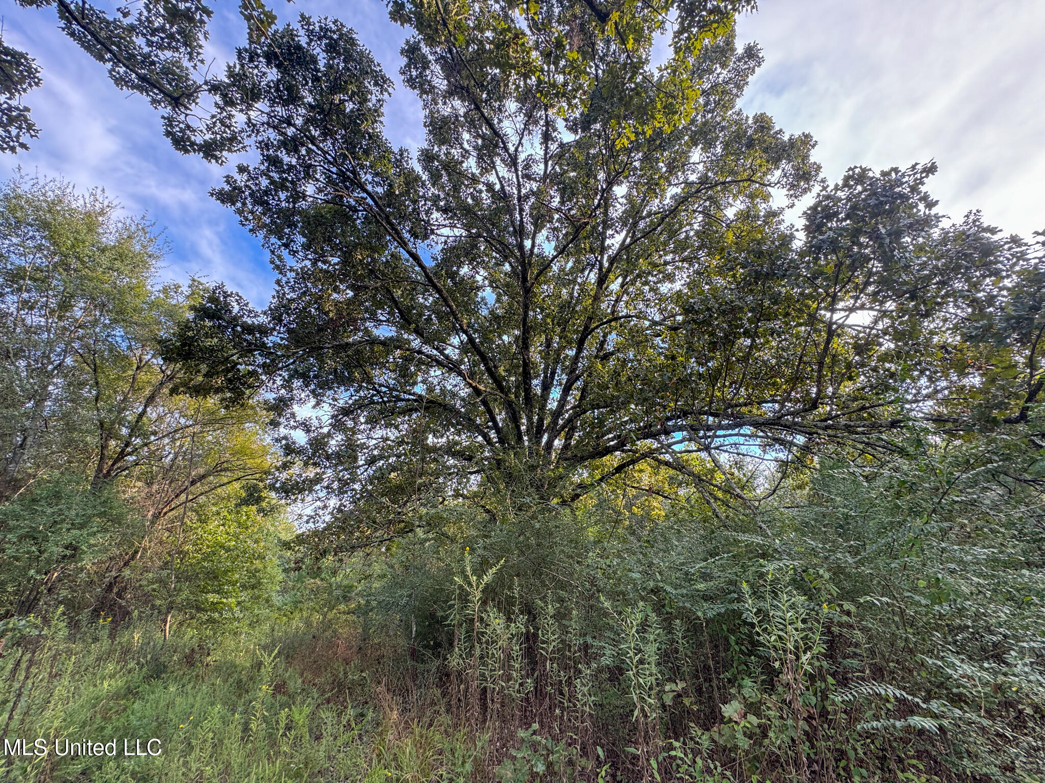 Davis Lane Property Photo 36