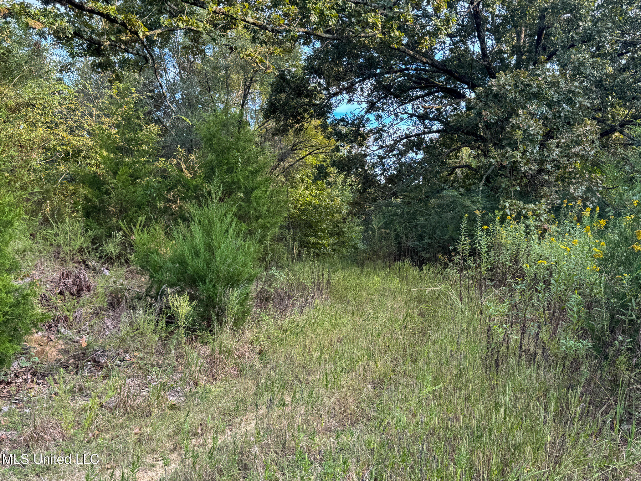 Davis Lane Property Photo 37