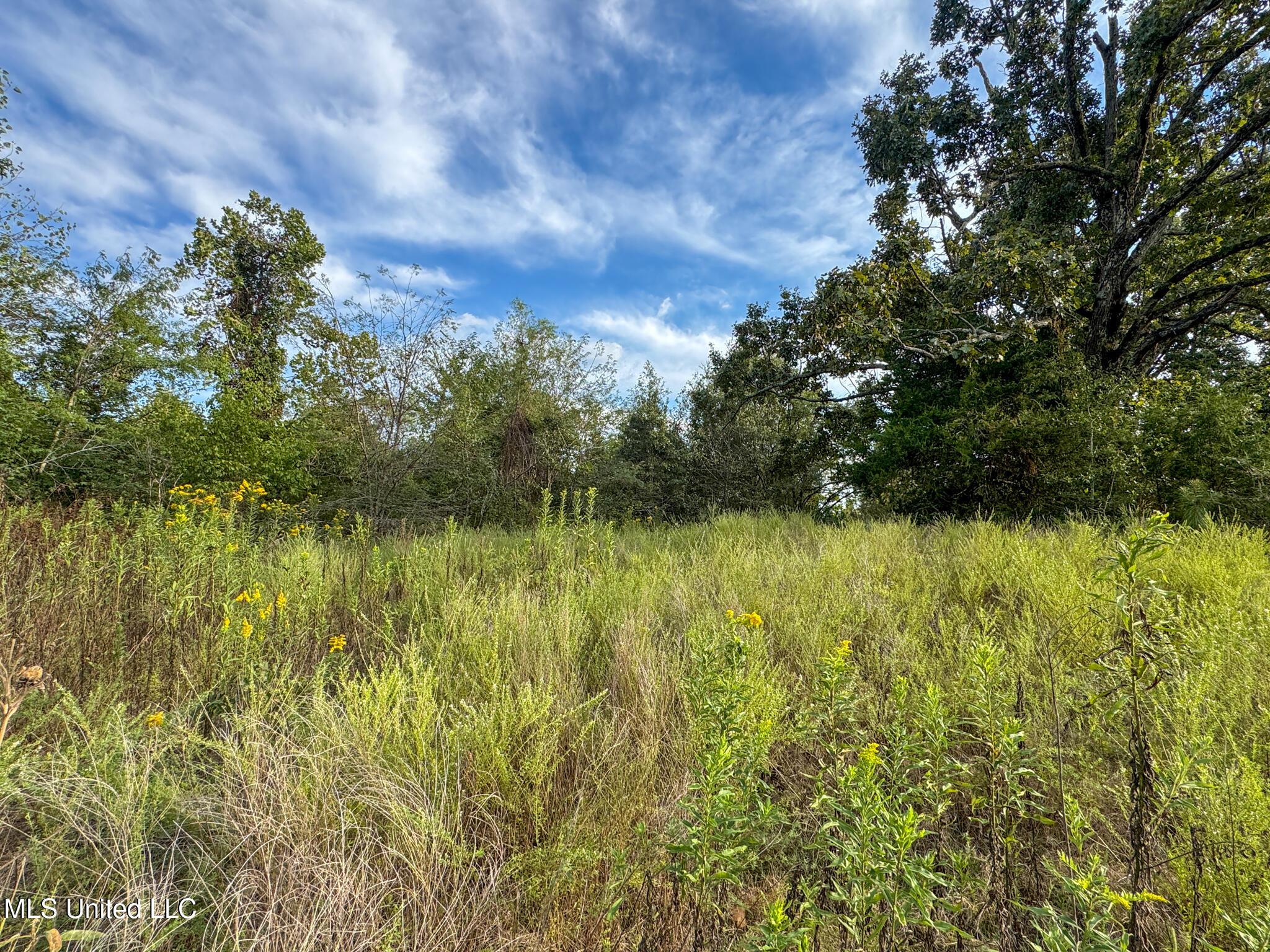 Davis Lane Property Photo 38