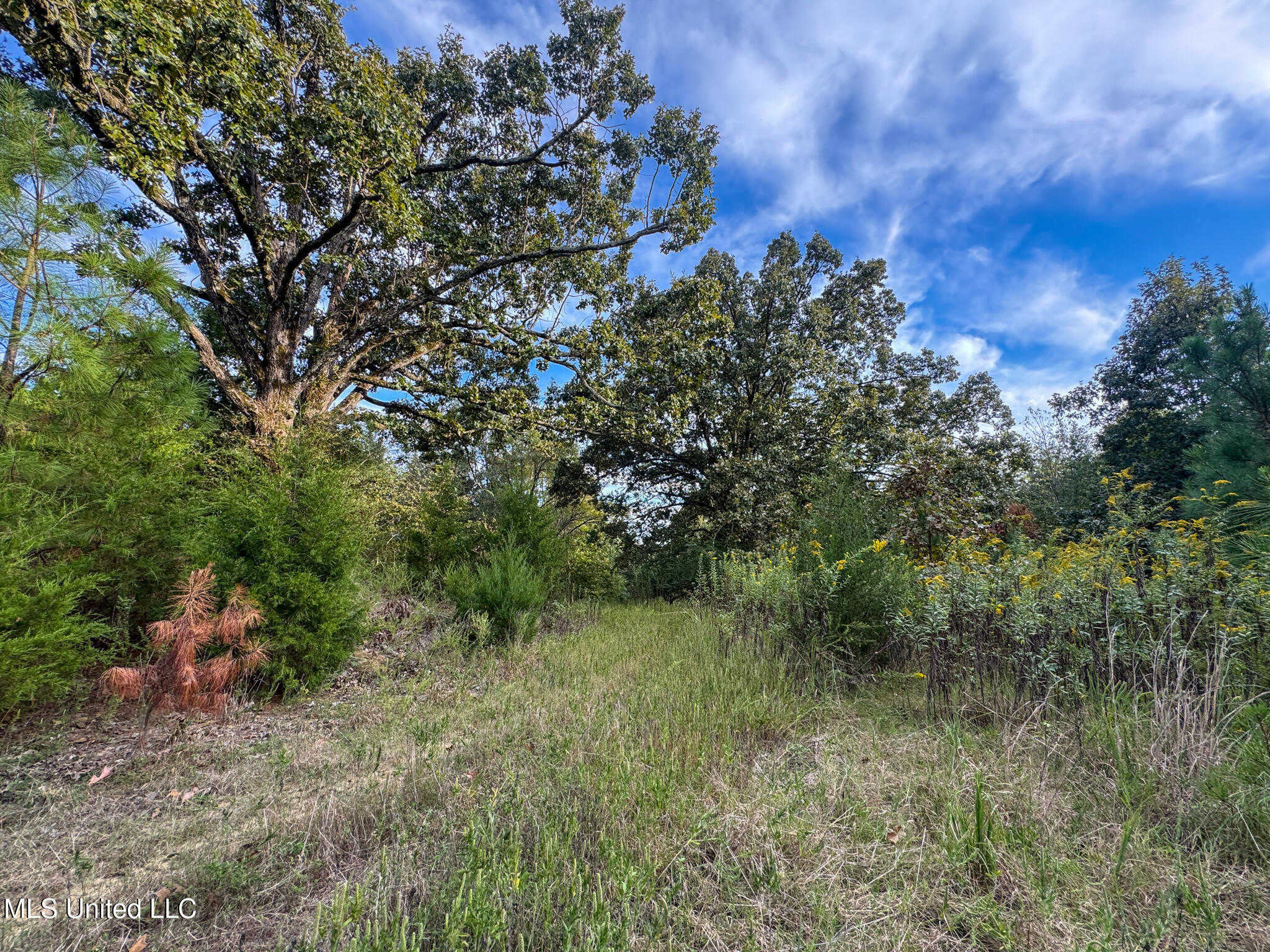 Davis Lane Property Photo 39