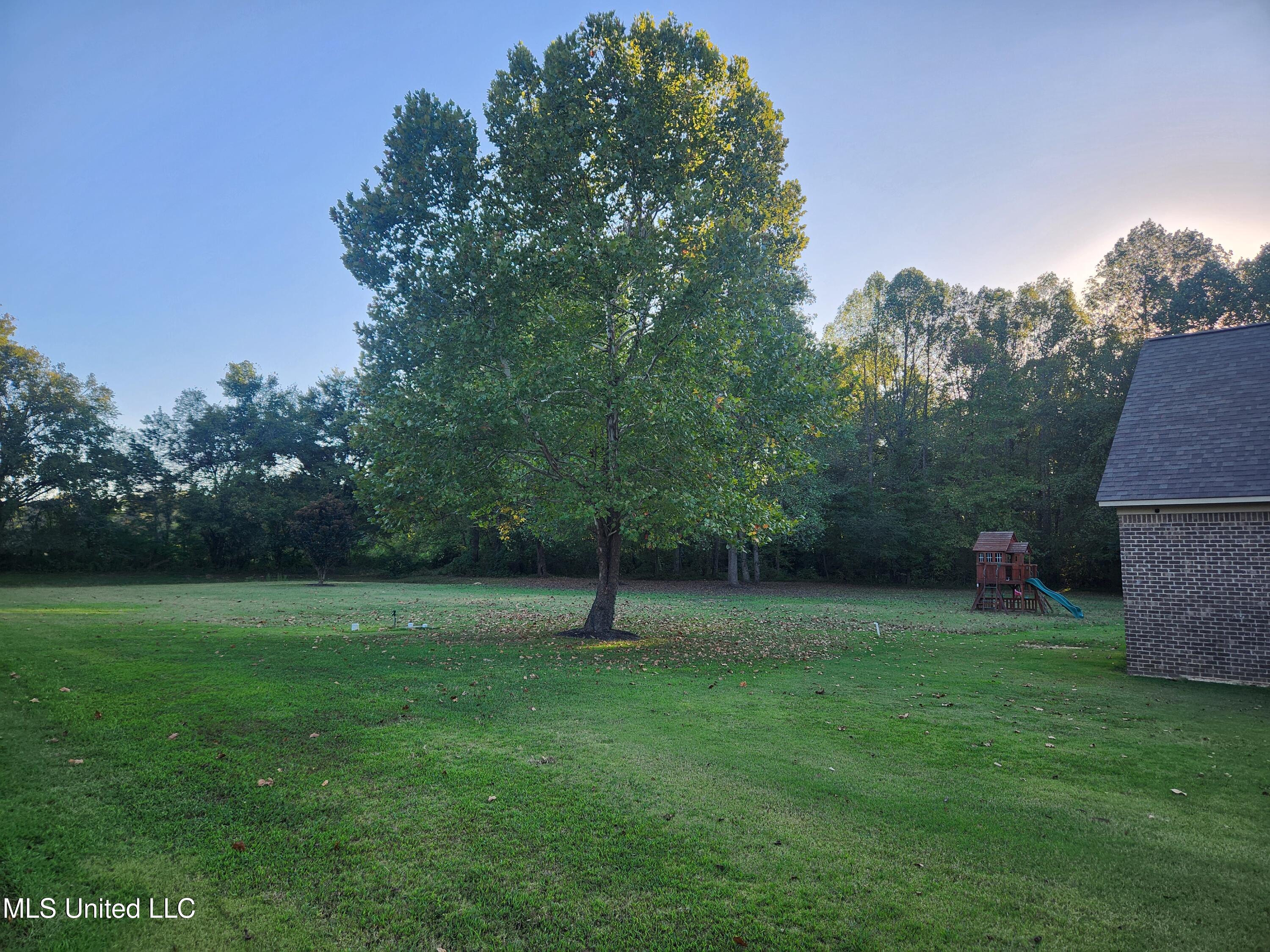 8107 Steven Henry Road Property Photo 40