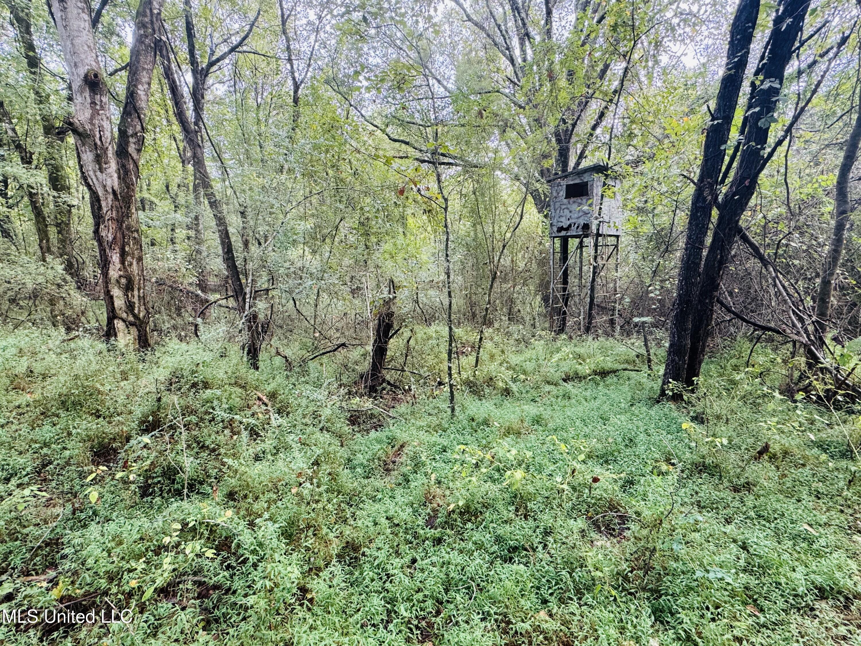 0 Cooperlow Road Property Photo 4