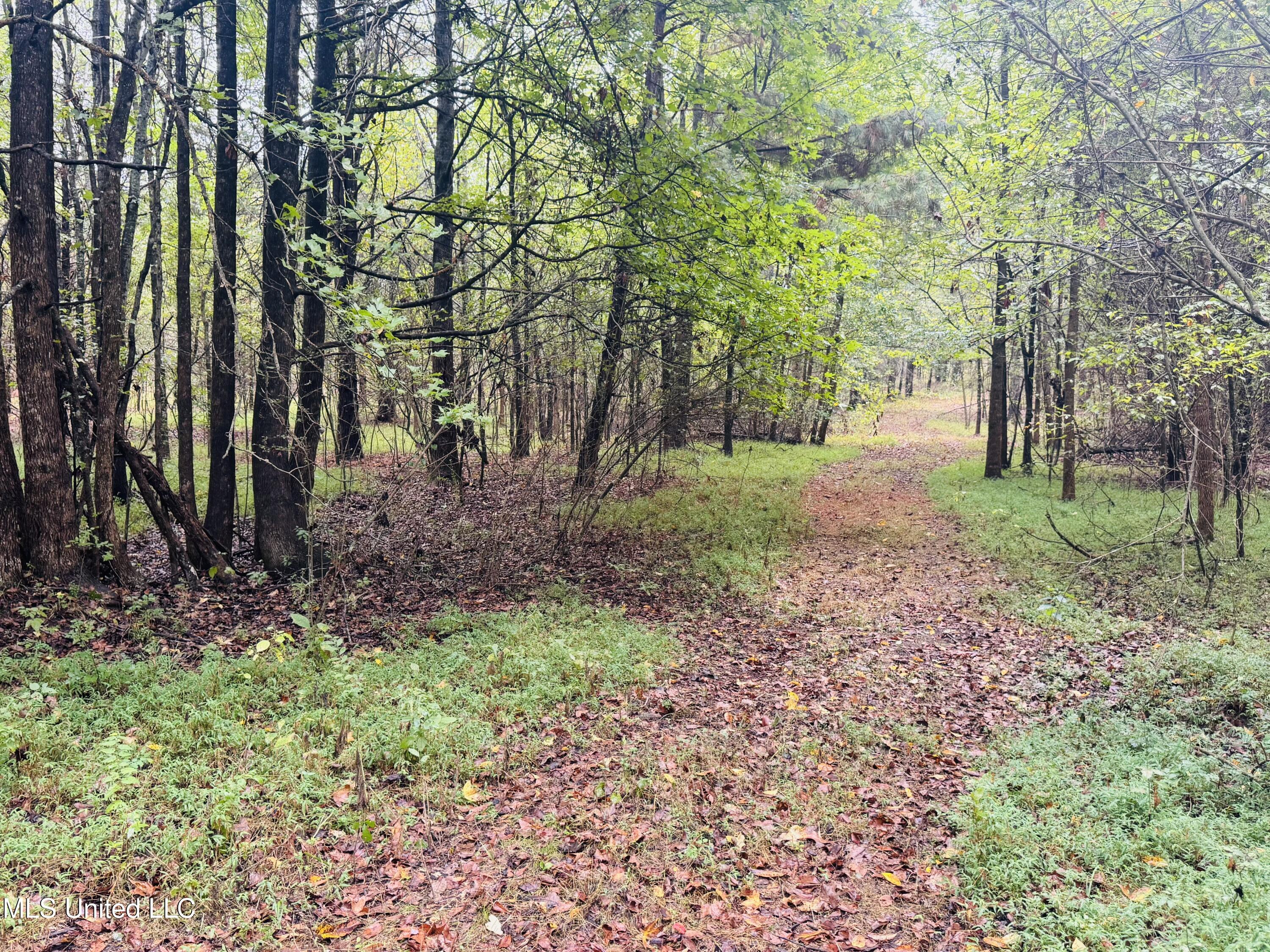 0 Cooperlow Road Property Photo 8