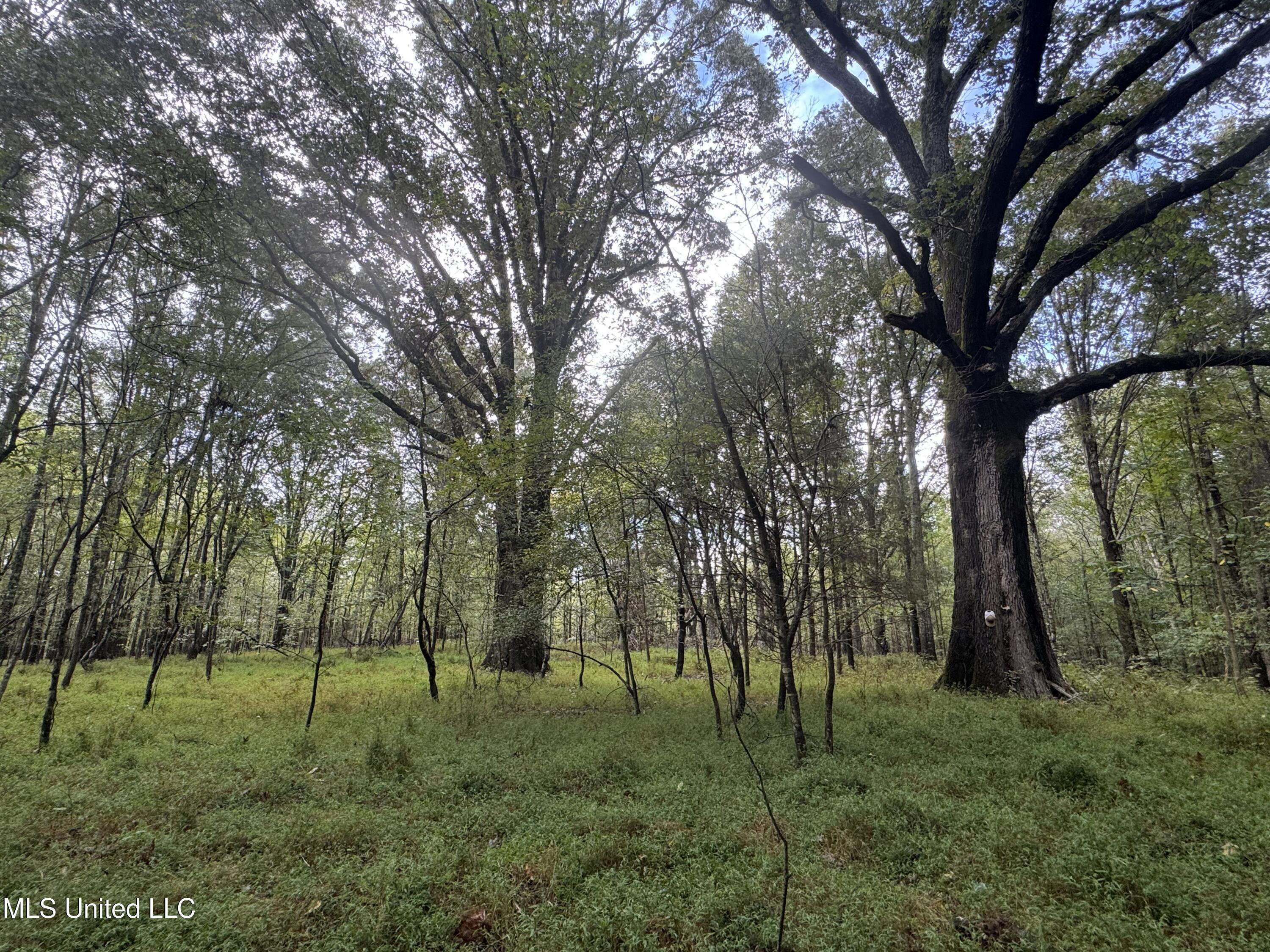 0 Cooperlow Road Property Photo 9