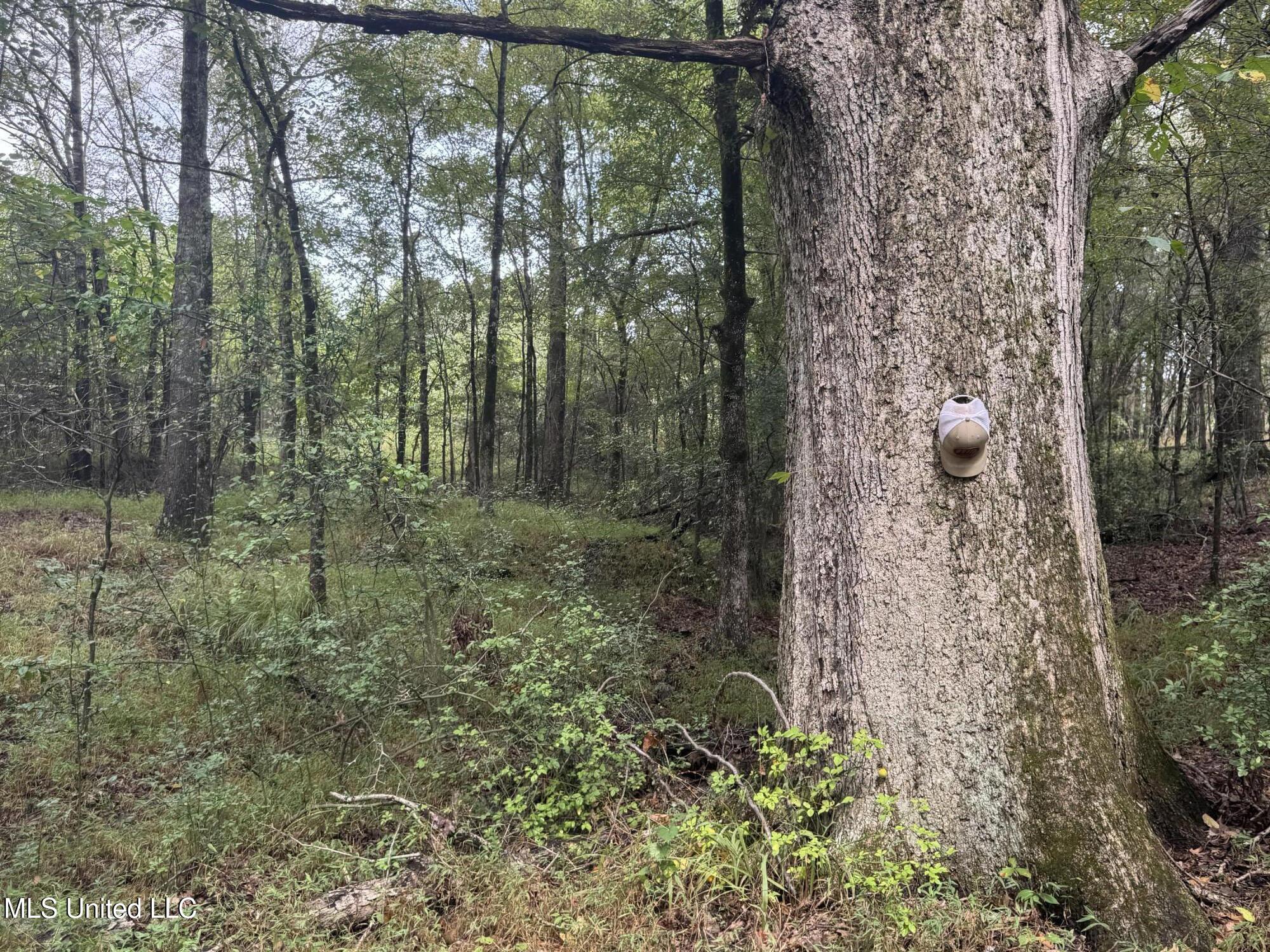 0 Cooperlow Road Property Photo 10