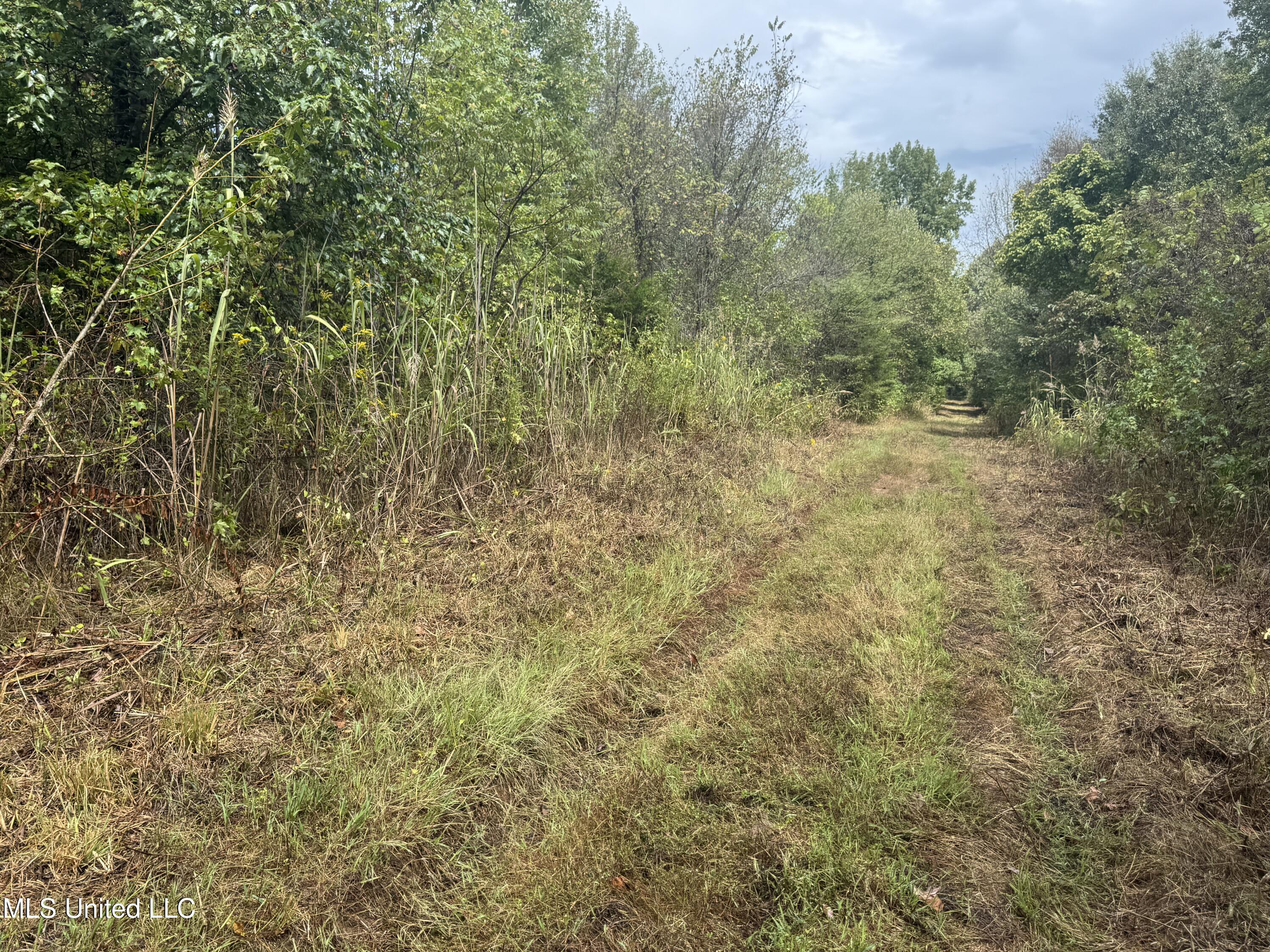 0 Cooperlow Road Property Photo 11