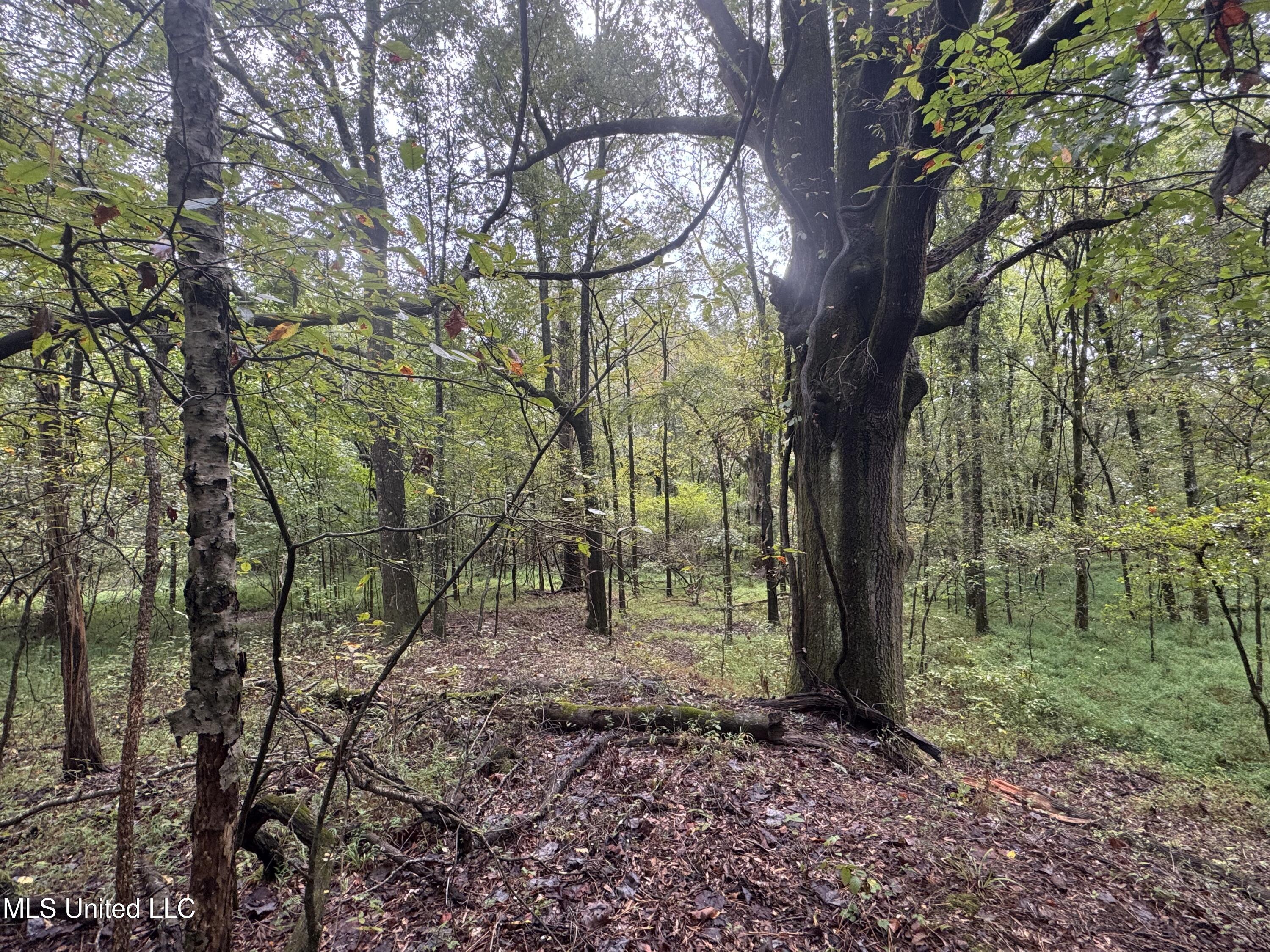 0 Cooperlow Road Property Photo 12