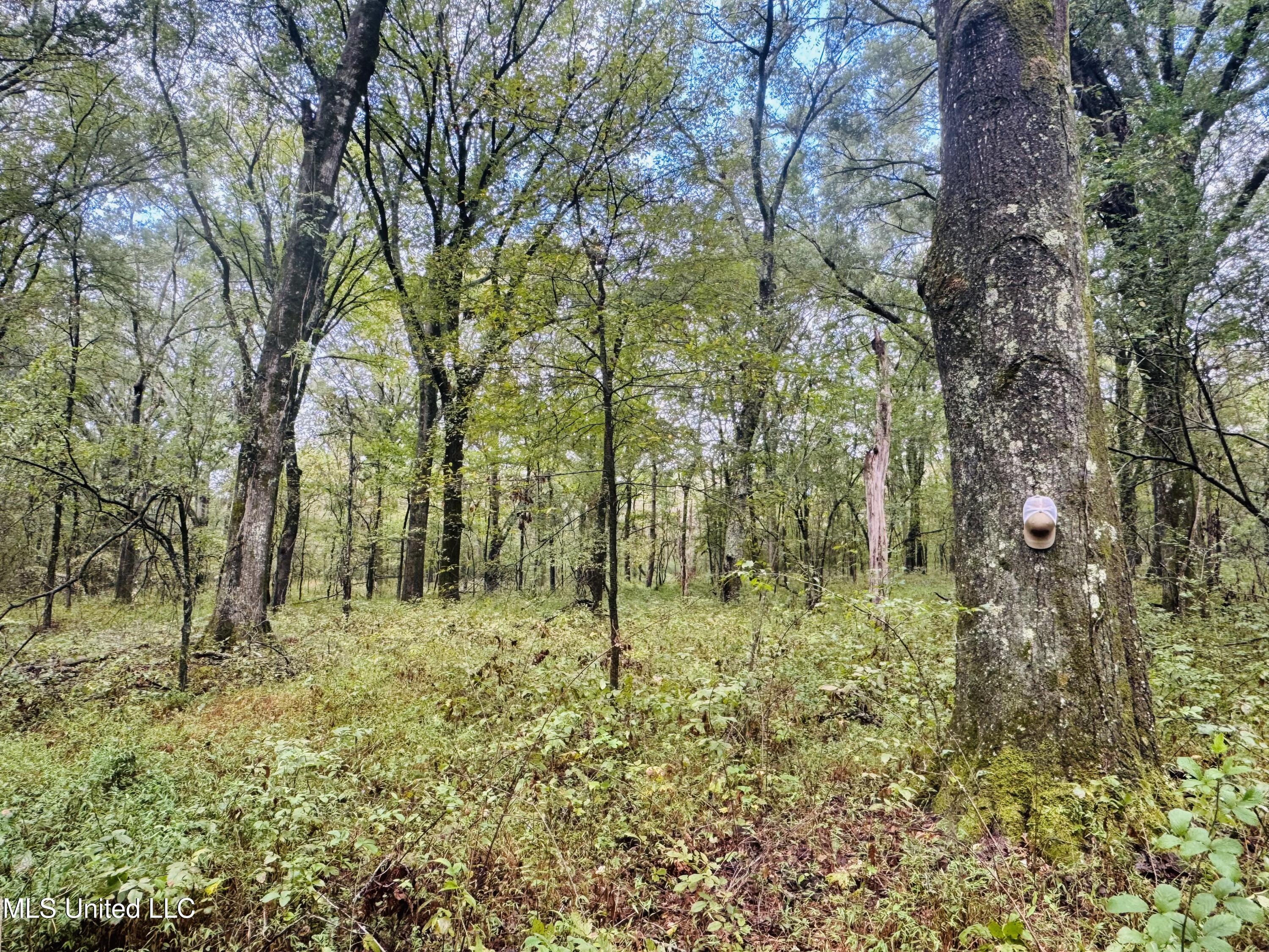 0 Cooperlow Road Property Photo 13