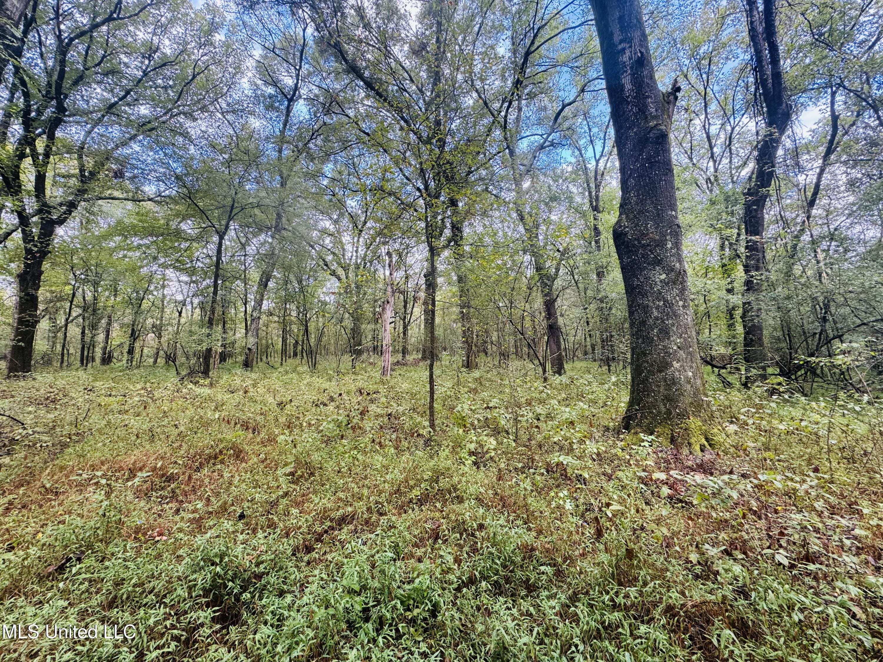 0 Cooperlow Road Property Photo 14