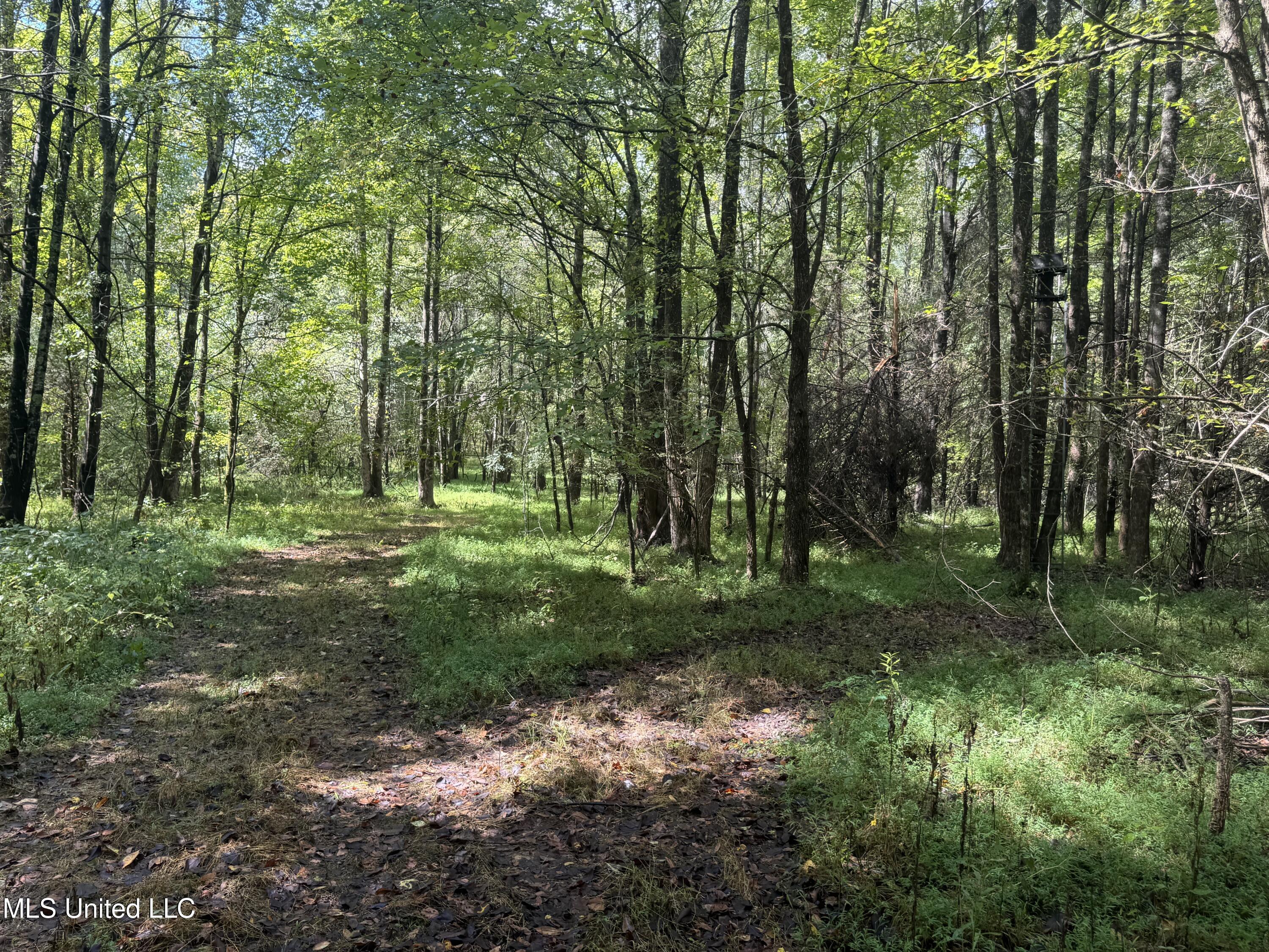 0 Cooperlow Road Property Photo 16